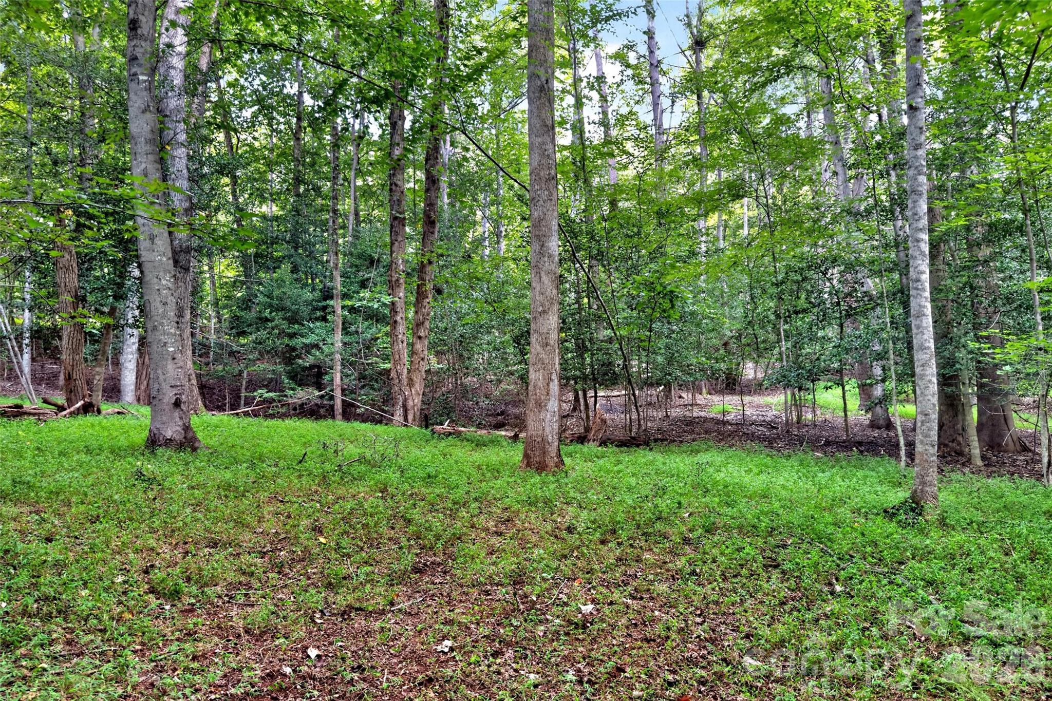 360 Harborside Drive Property Photo 16