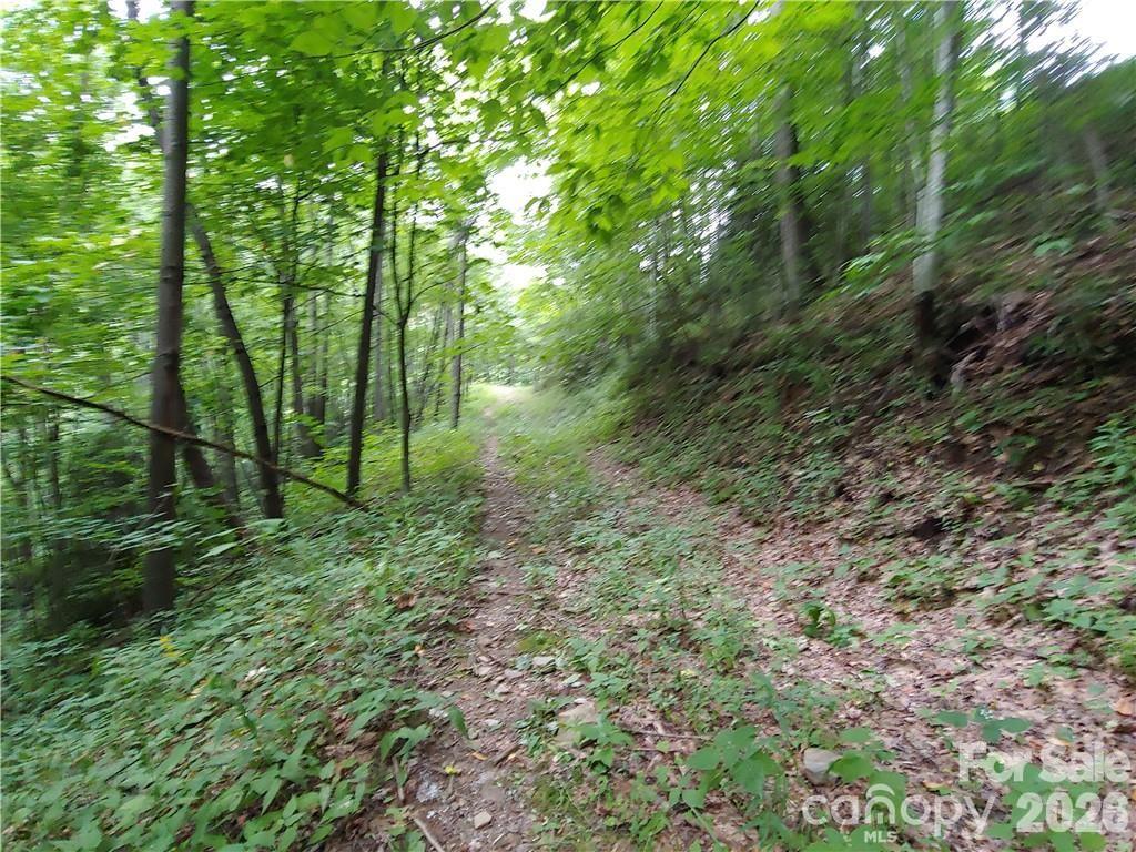 24 Tater Patch Road Property Photo 3
