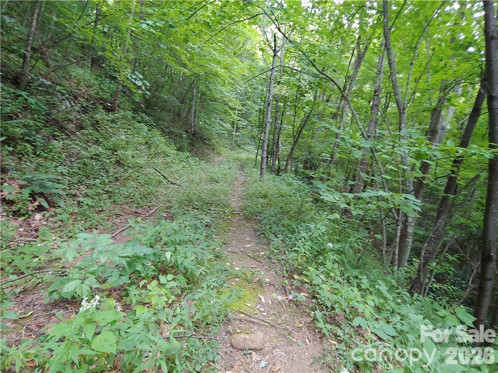 24 Tater Patch Road Property Photo 4