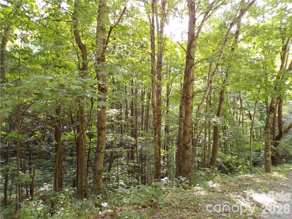 24 Tater Patch Road Property Photo 9