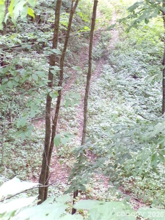 24 Tater Patch Road Property Photo 10