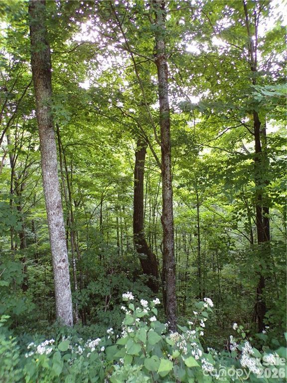 24 Tater Patch Road Property Photo 11