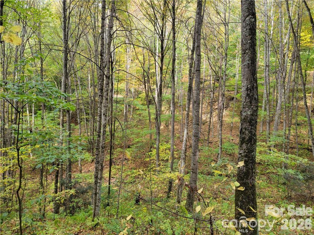 24 Tater Patch Road Property Photo 12