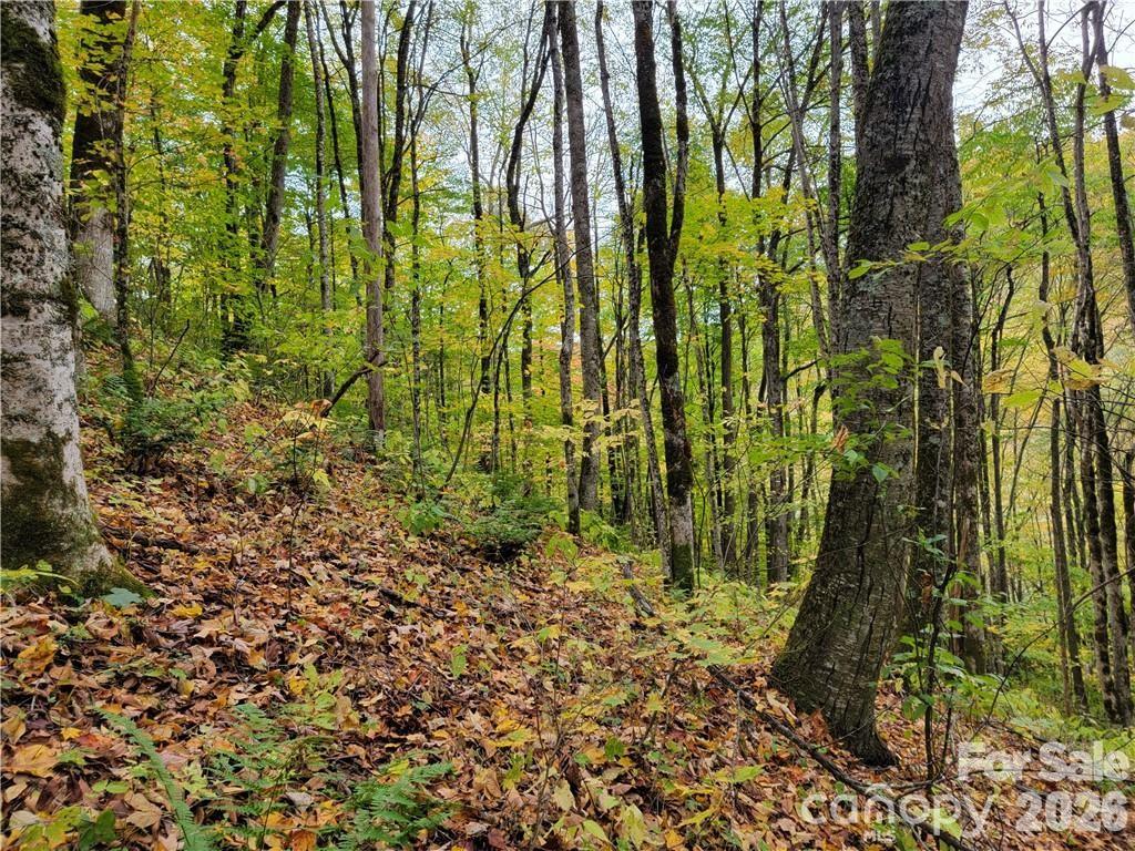 24 Tater Patch Road Property Photo 13