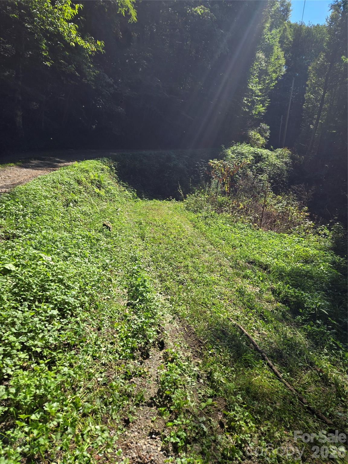 24 Tater Patch Road Property Photo 15