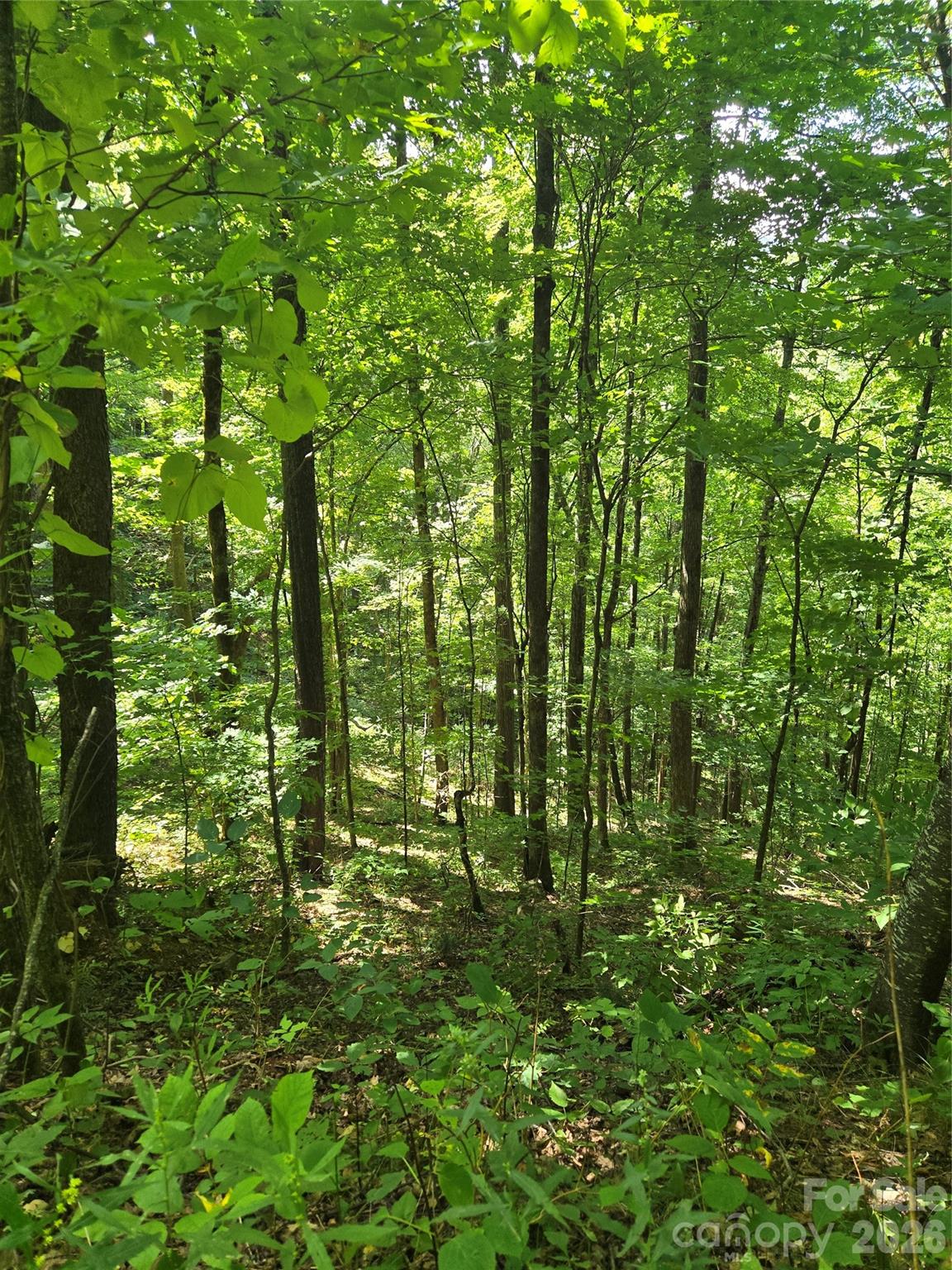24 Tater Patch Road Property Photo 16