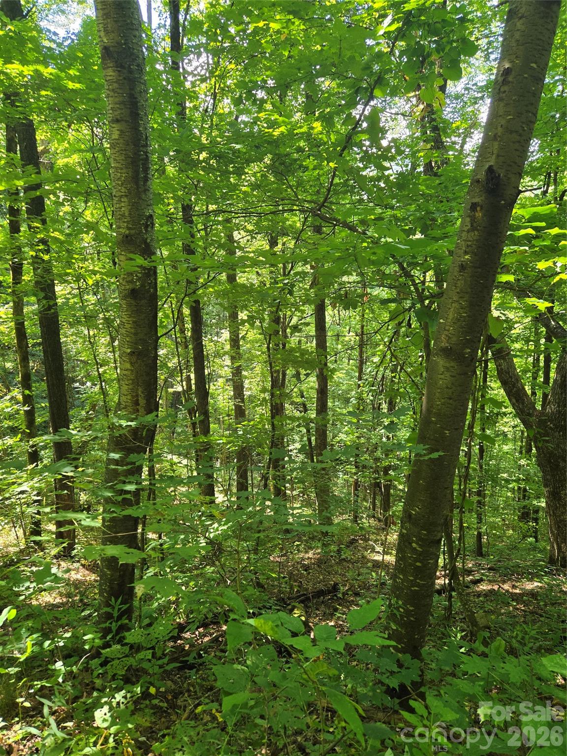 24 Tater Patch Road Property Photo 18