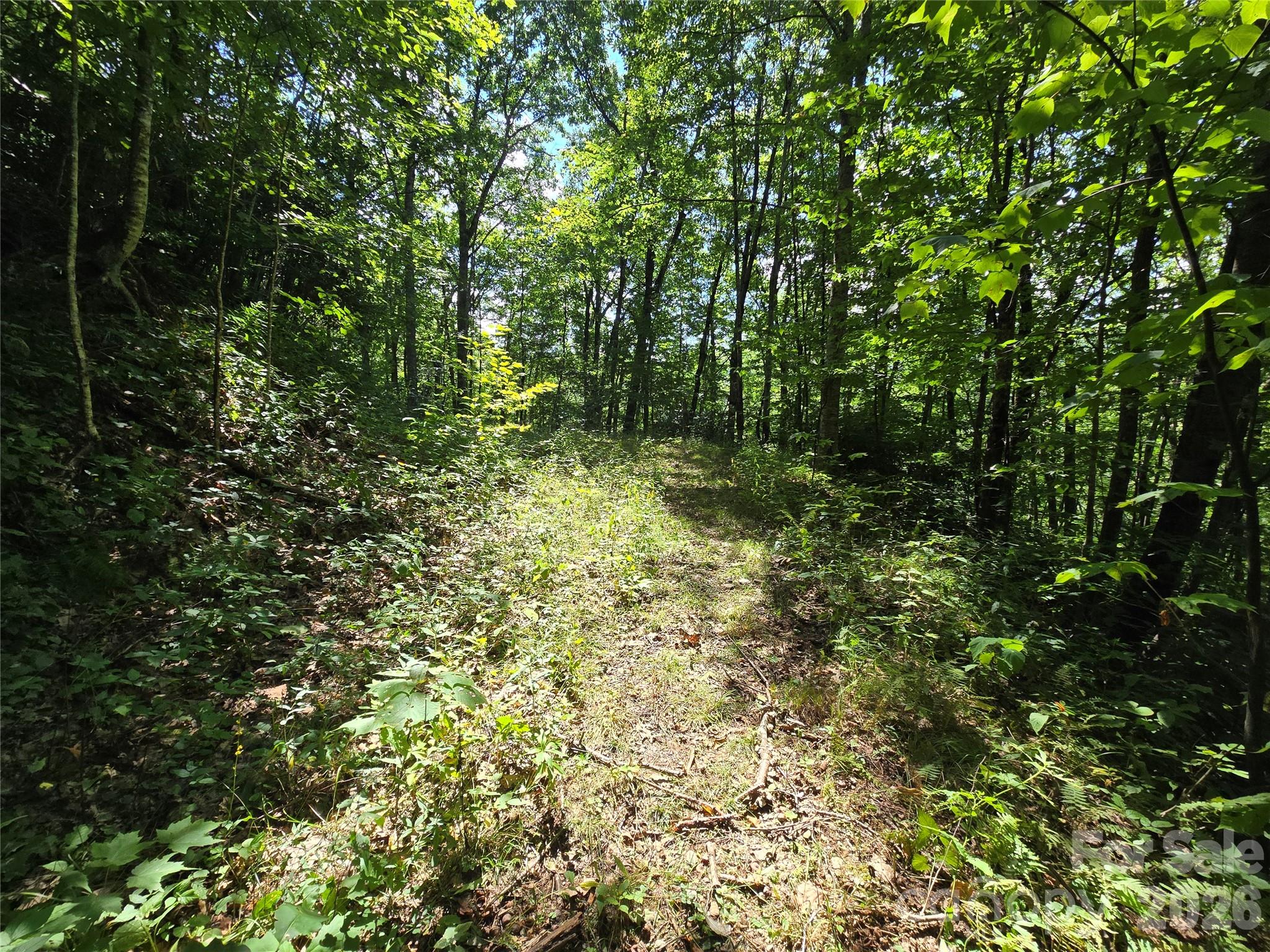 24 Tater Patch Road Property Photo 19