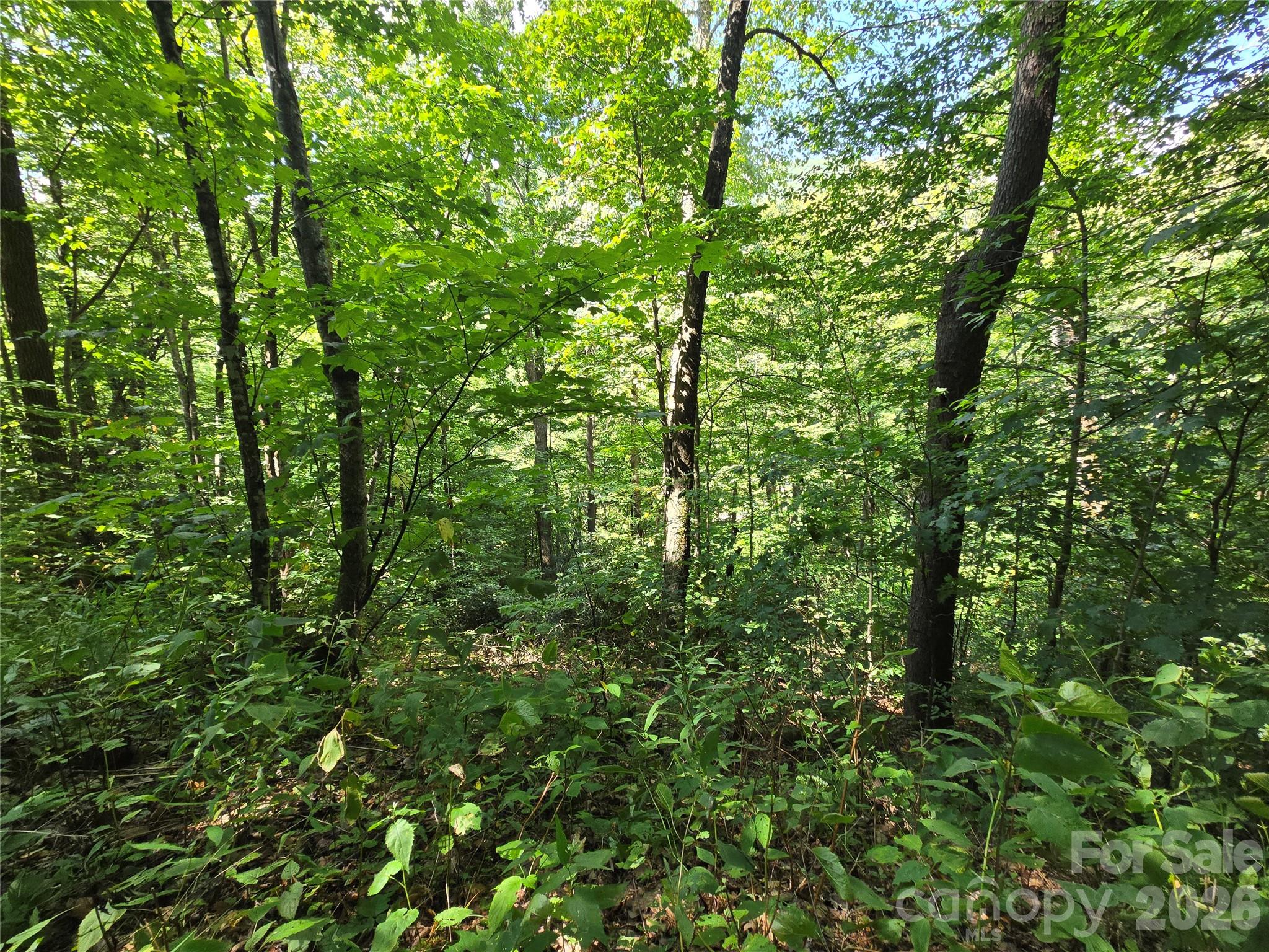24 Tater Patch Road Property Photo 20