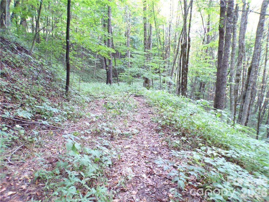 24 Tater Patch Road Property Photo 25