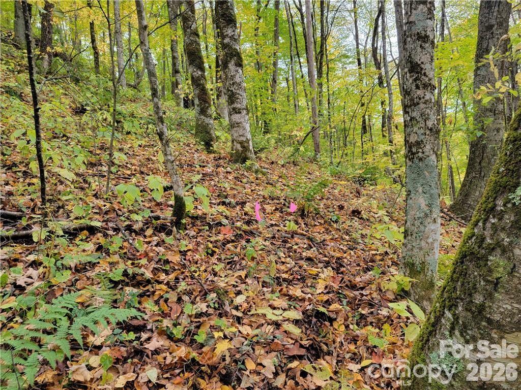 24 Tater Patch Road Property Photo 27