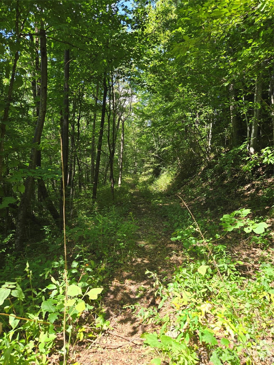 24 Tater Patch Road Property Photo 28
