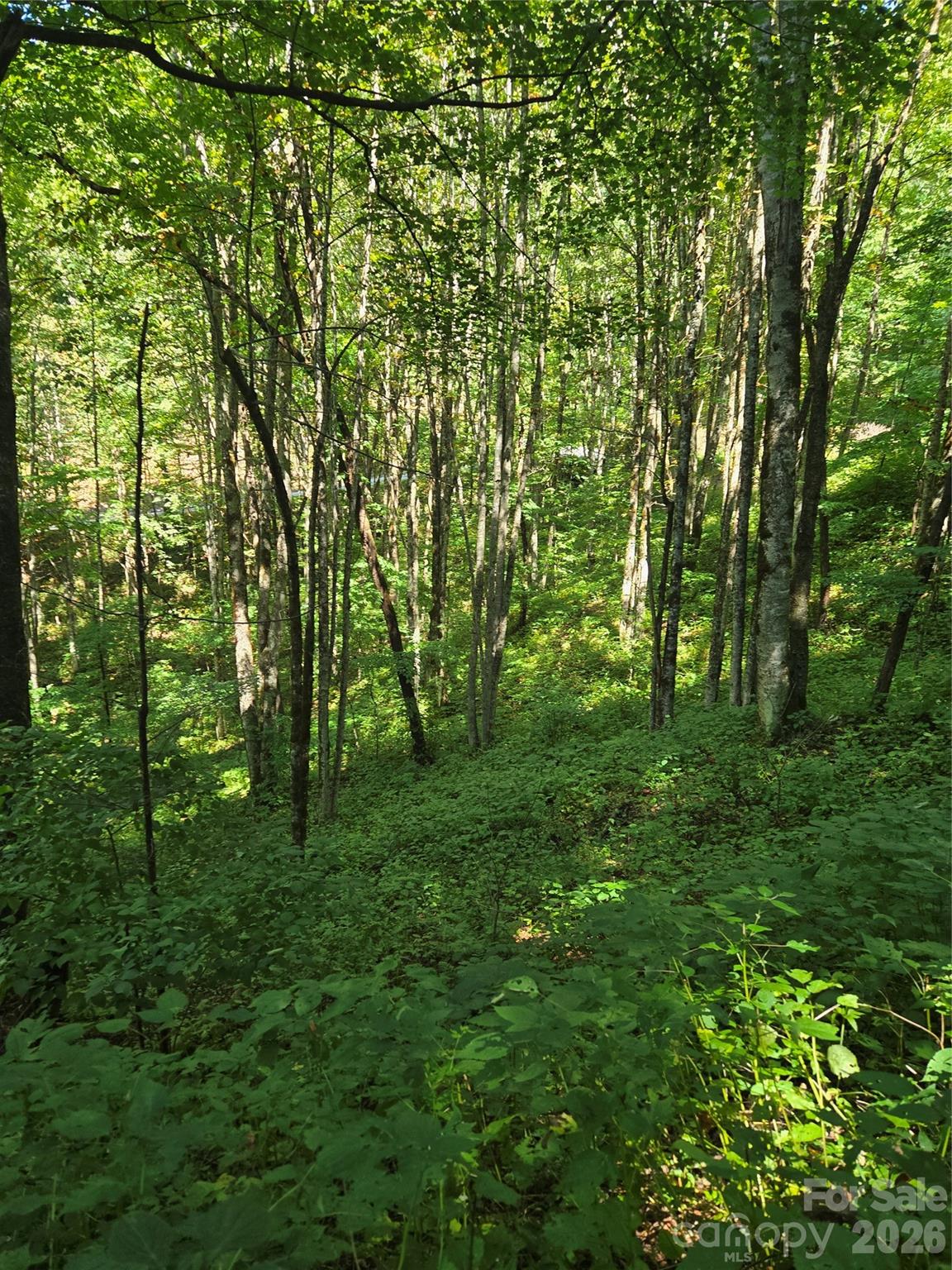 24 Tater Patch Road Property Photo 34