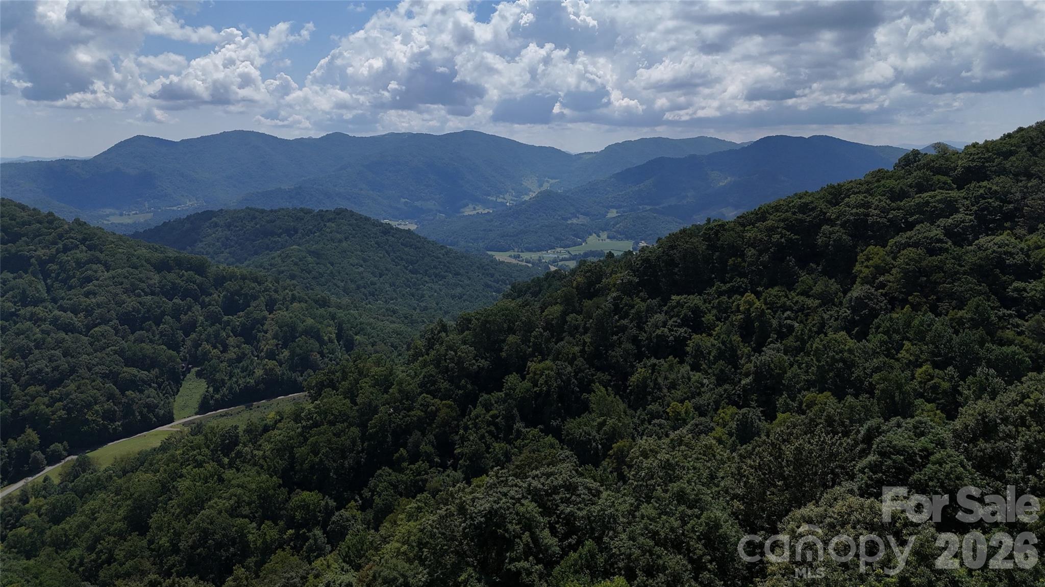 Tbd Black Bear Trail Property Photo 5