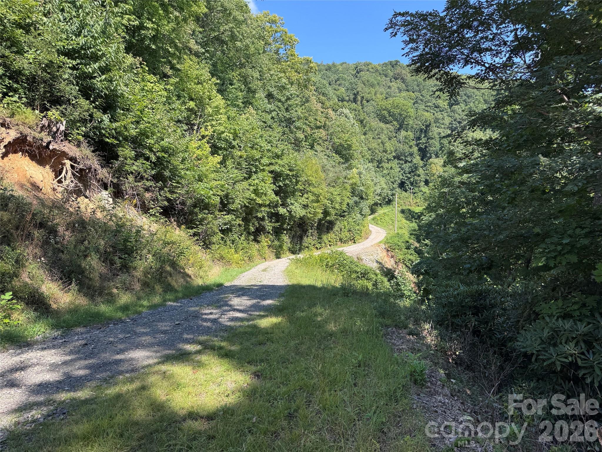 Tbd Black Bear Trail Property Photo 7