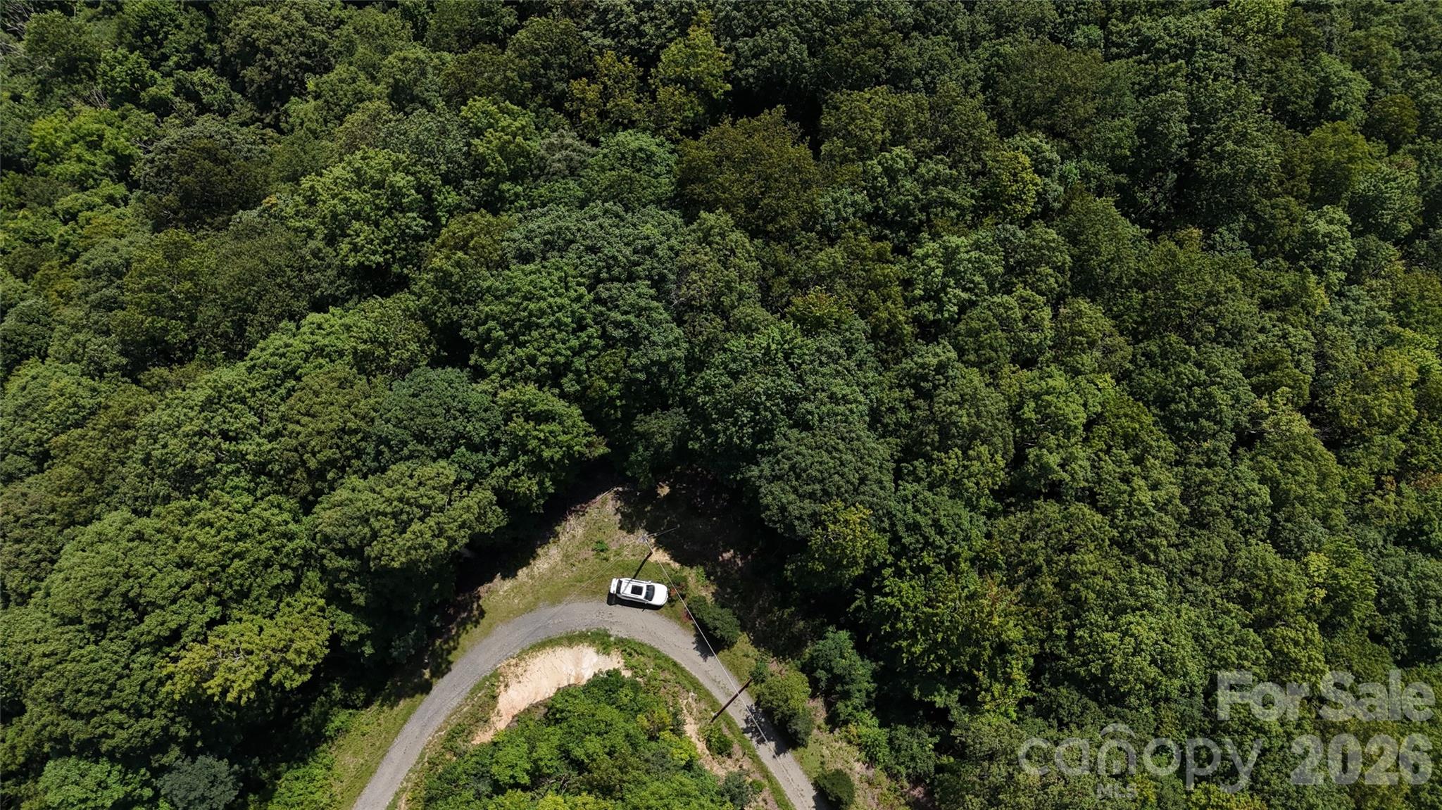 Tbd Black Bear Trail Property Photo 8