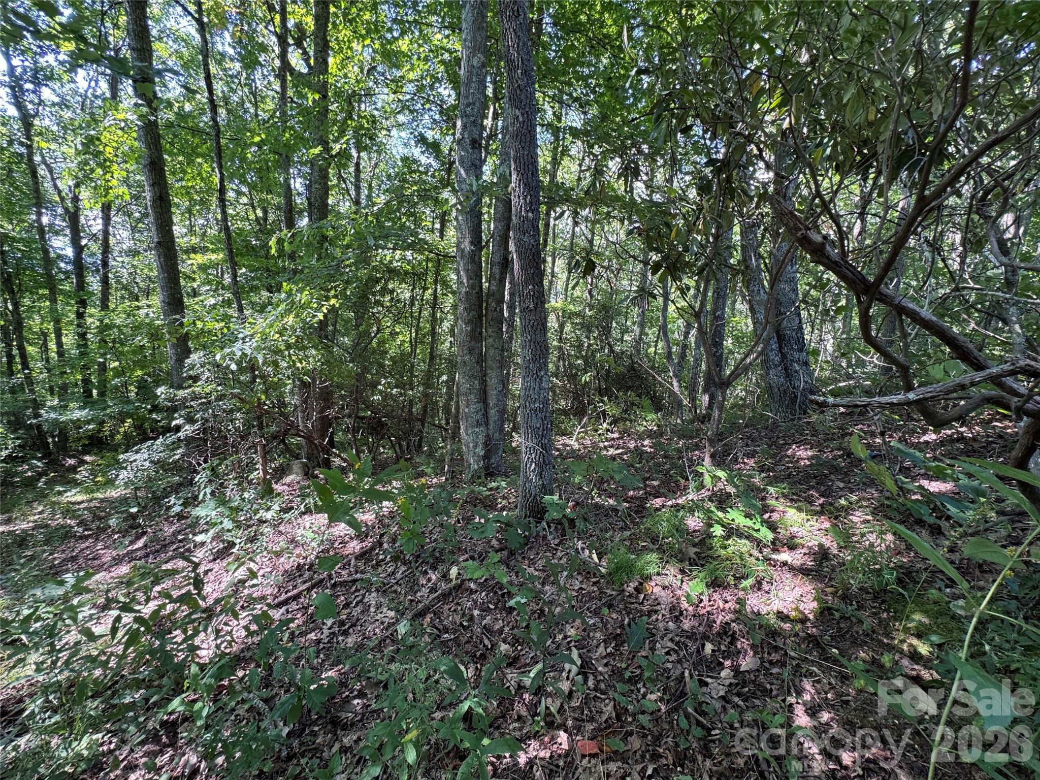 Tbd Black Bear Trail Property Photo 12