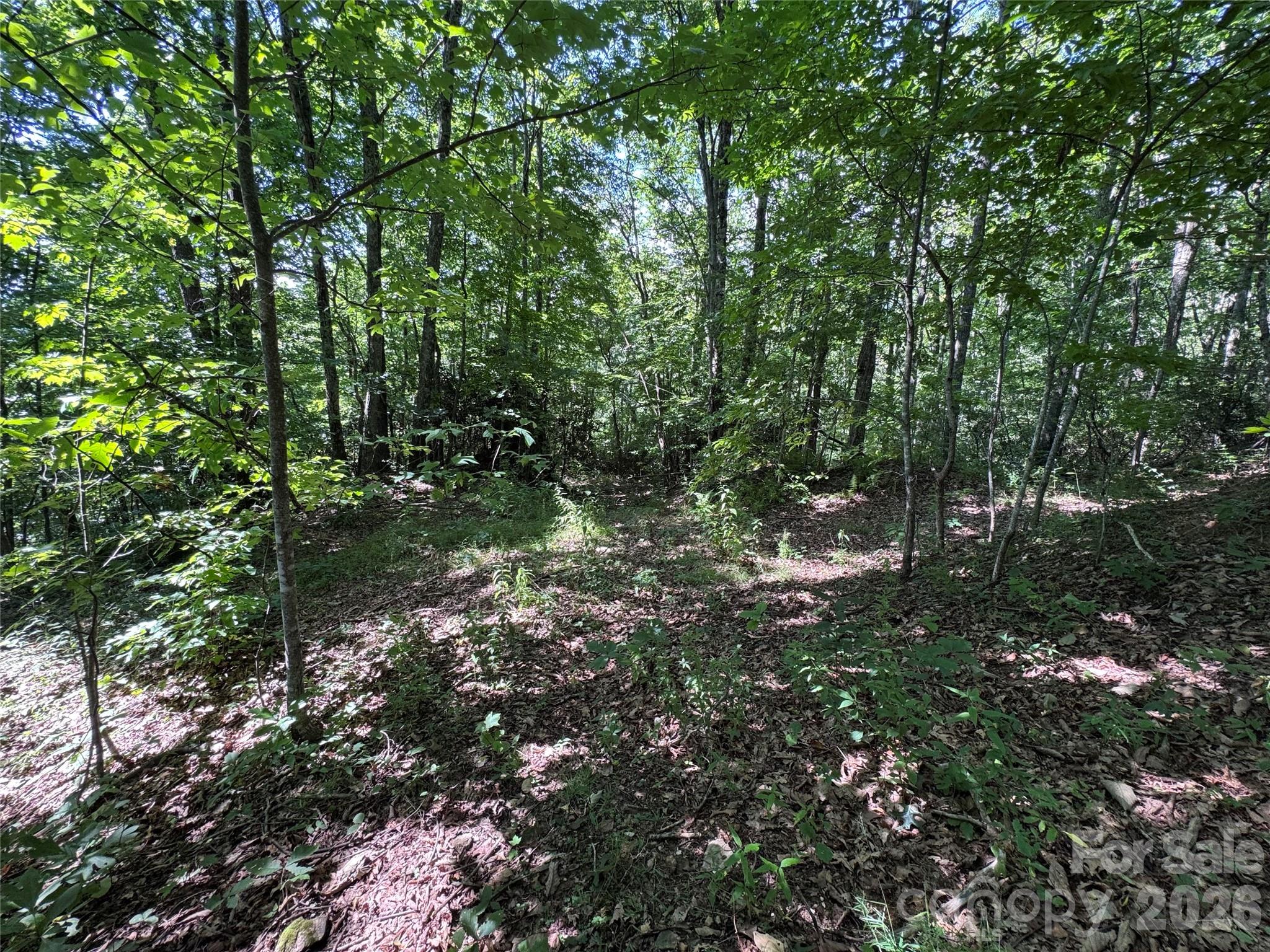 Tbd Black Bear Trail Property Photo 13