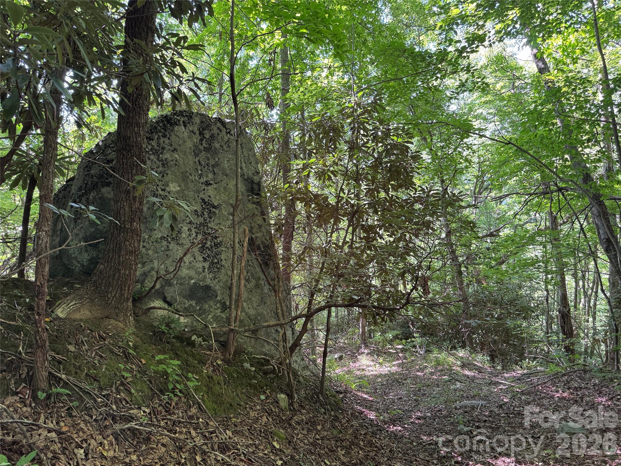 Tbd Black Bear Trail Property Photo 14
