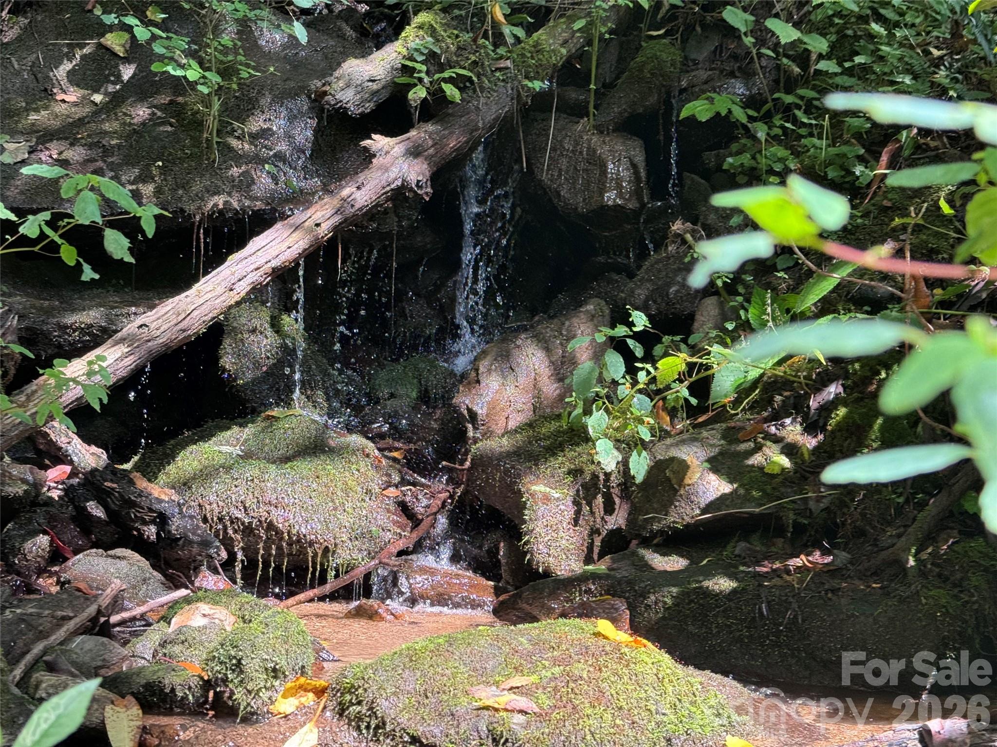 Tbd Black Bear Trail Property Photo 15