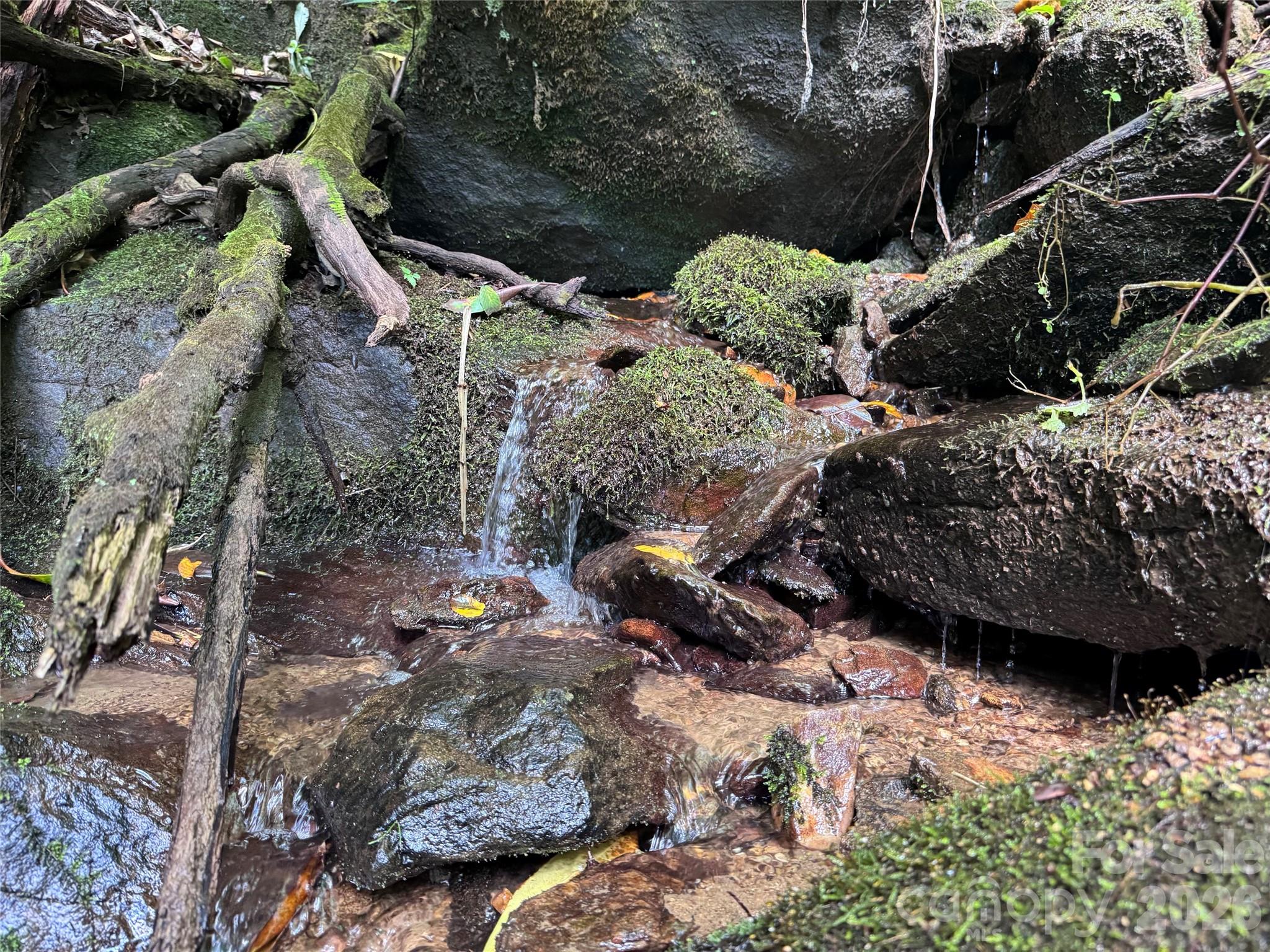 Tbd Black Bear Trail Property Photo 16