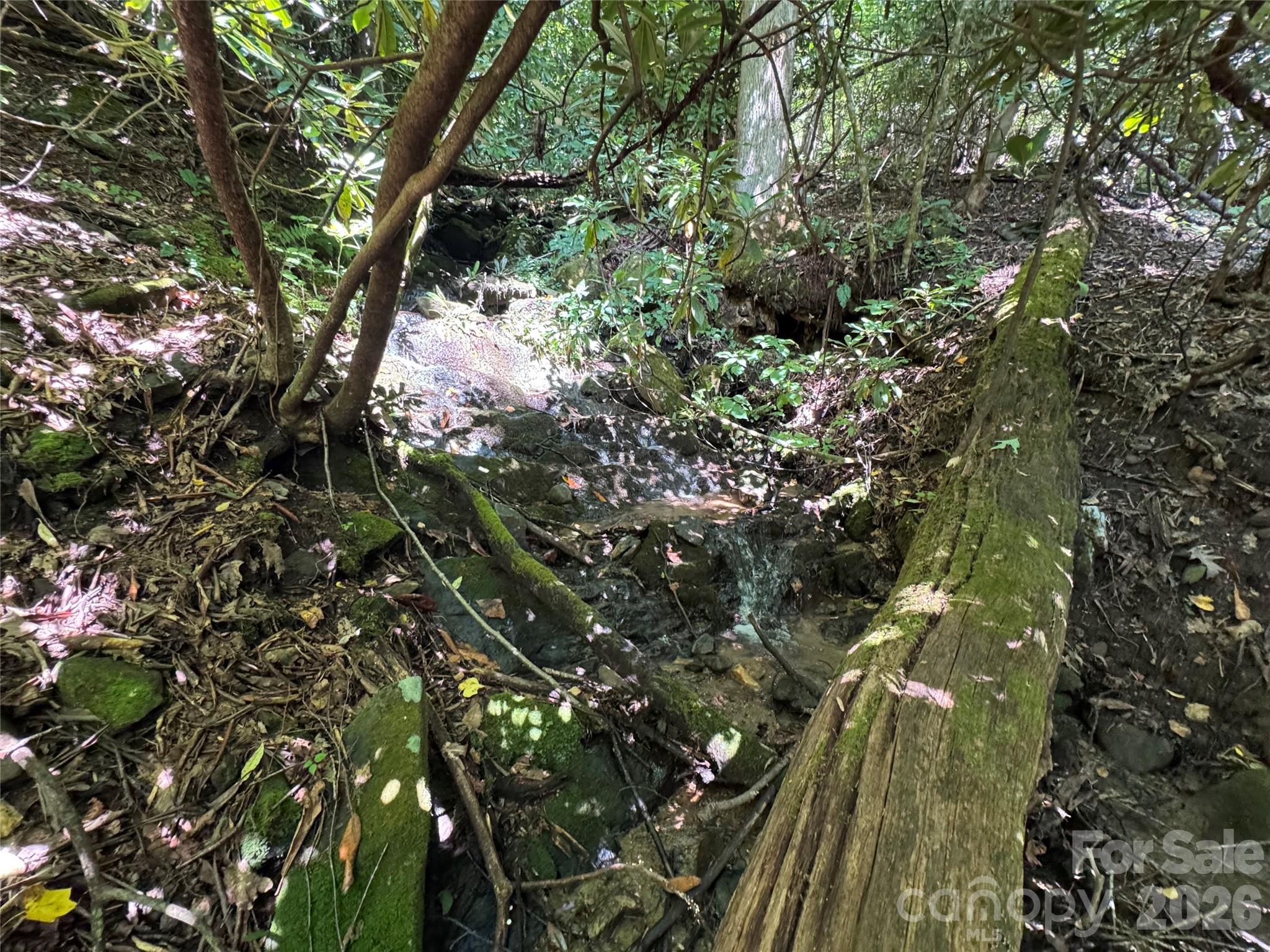 Tbd Black Bear Trail Property Photo 17