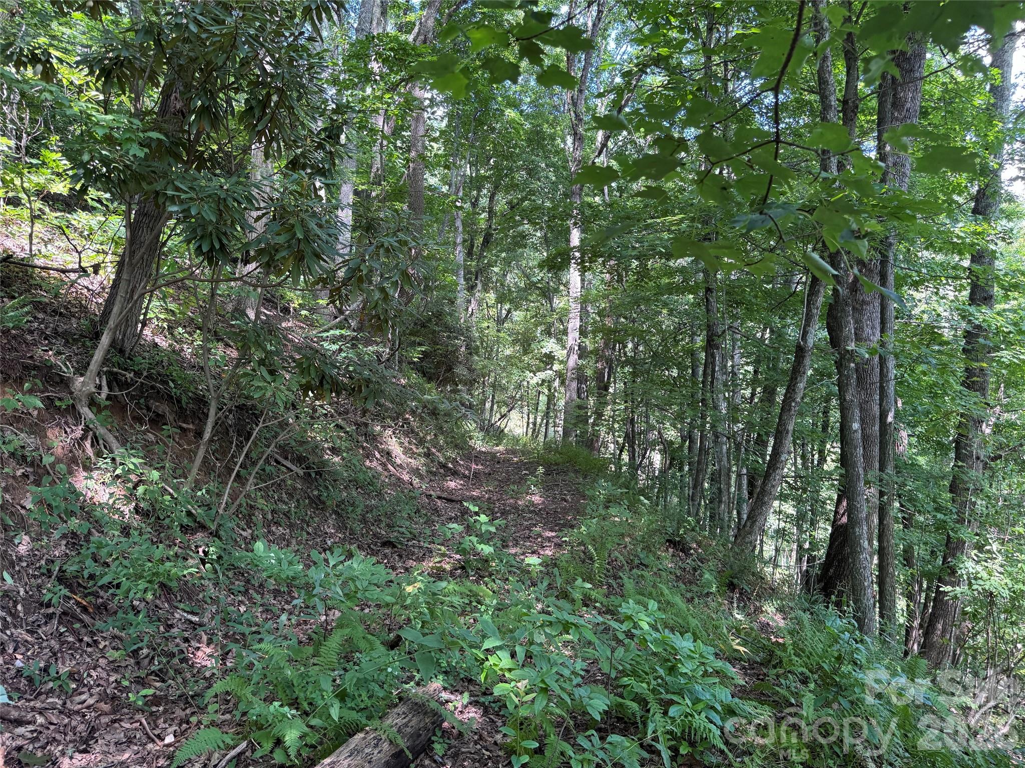 Tbd Black Bear Trail Property Photo 18