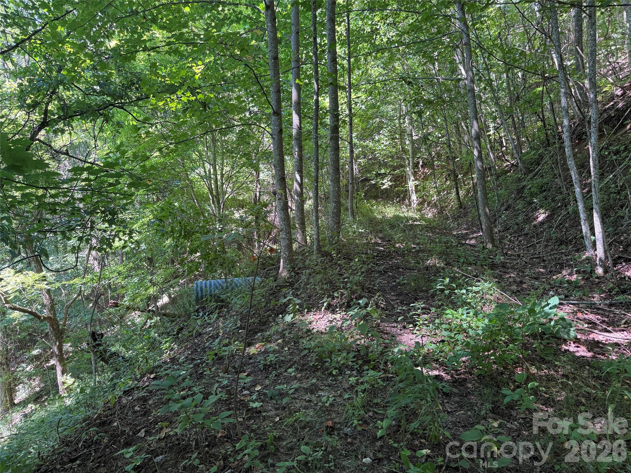 Tbd Black Bear Trail Property Photo 19