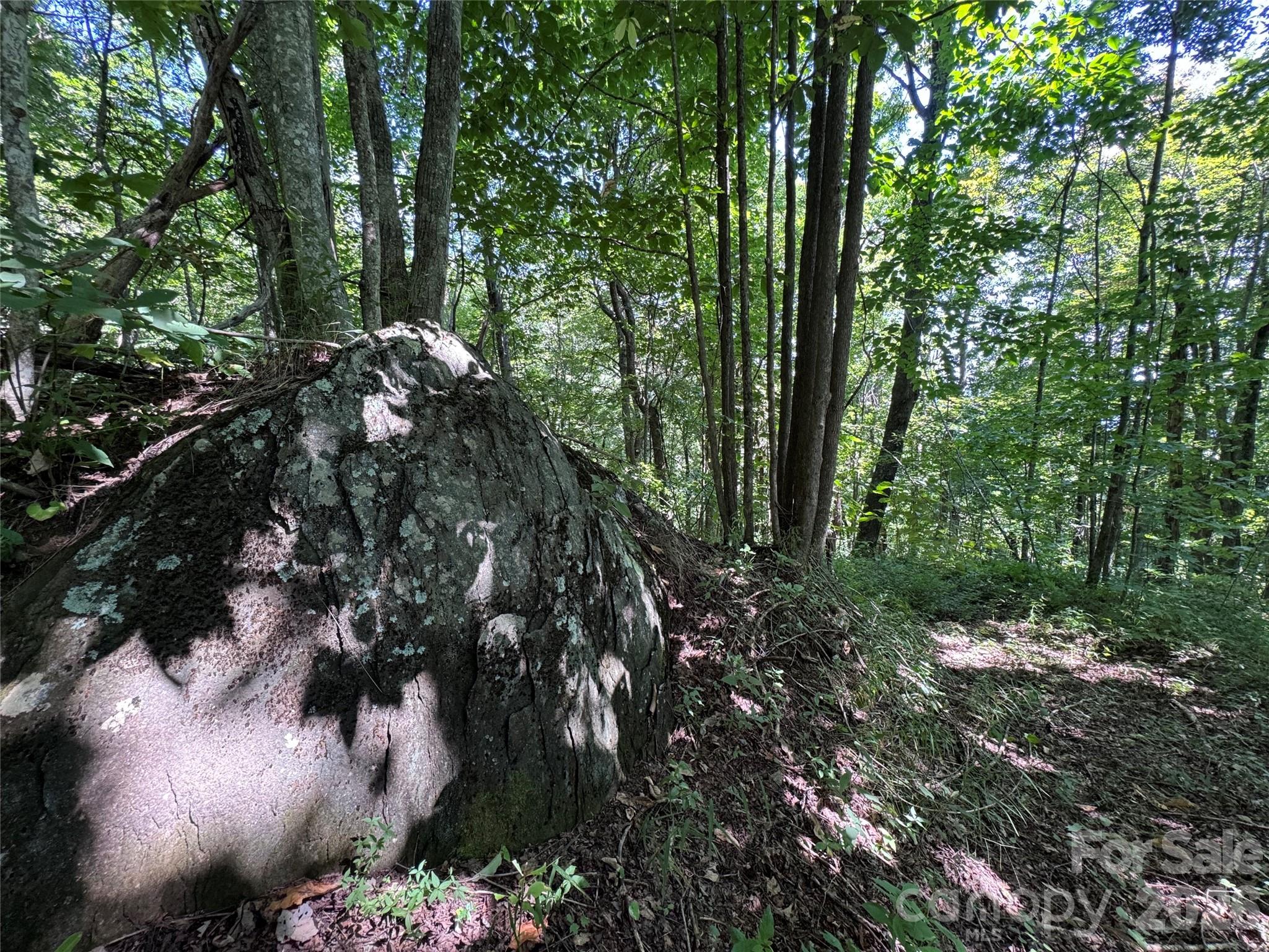 Tbd Black Bear Trail Property Photo 24