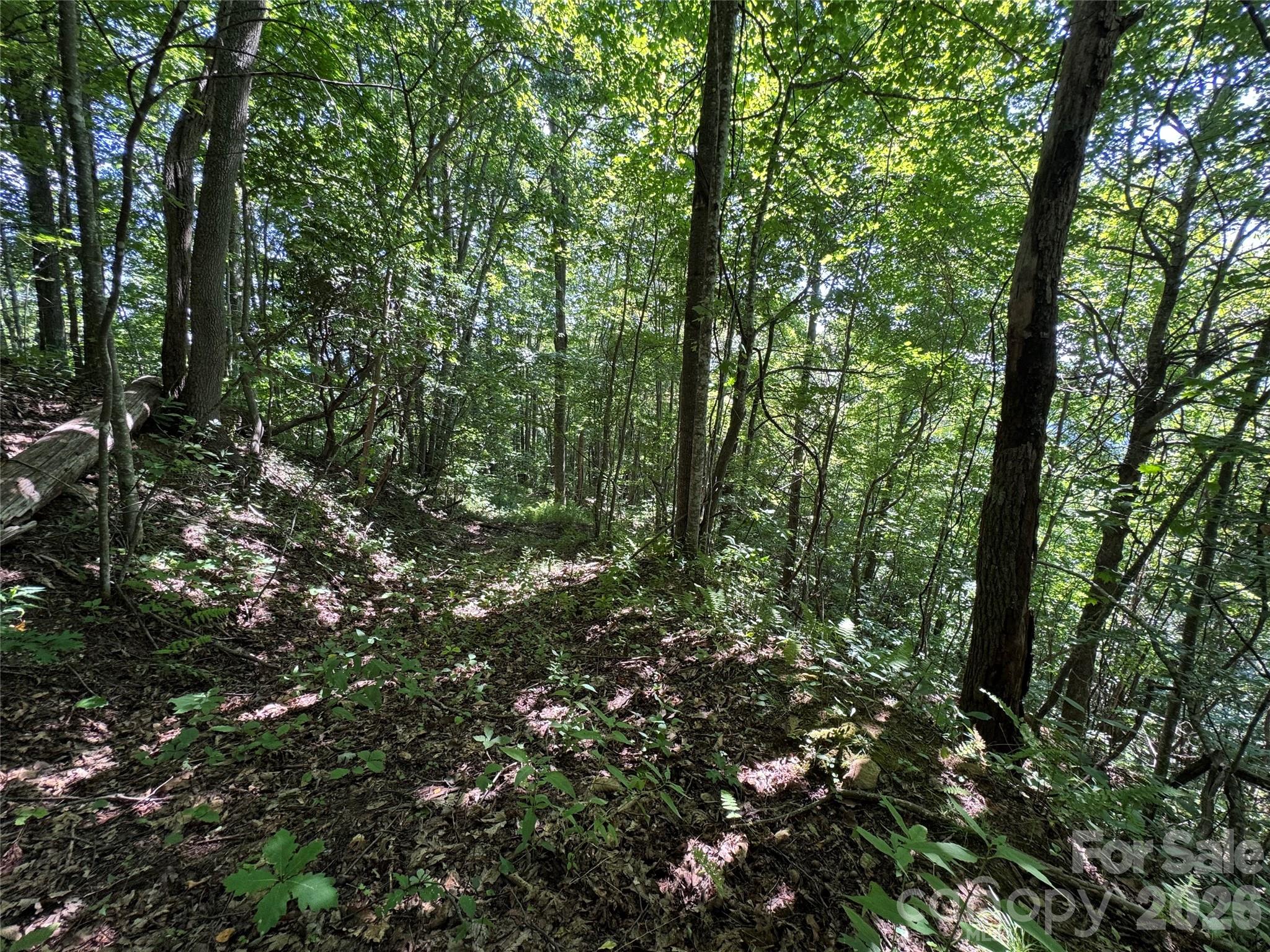 Tbd Black Bear Trail Property Photo 29