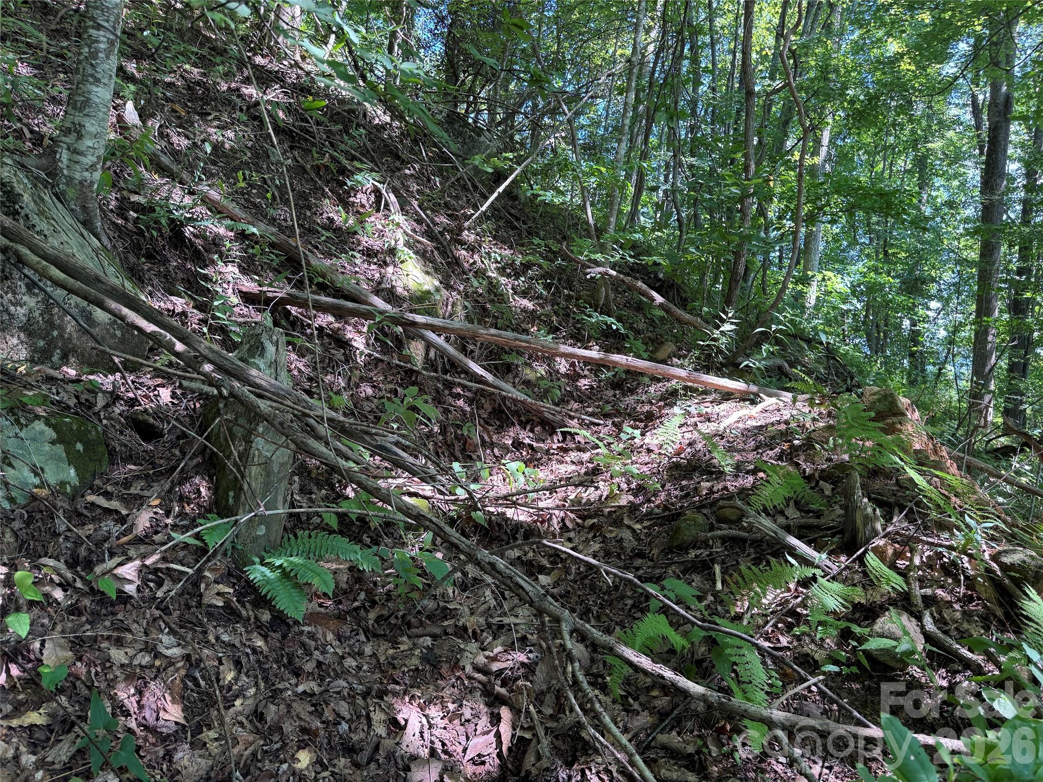 Tbd Black Bear Trail Property Photo 30