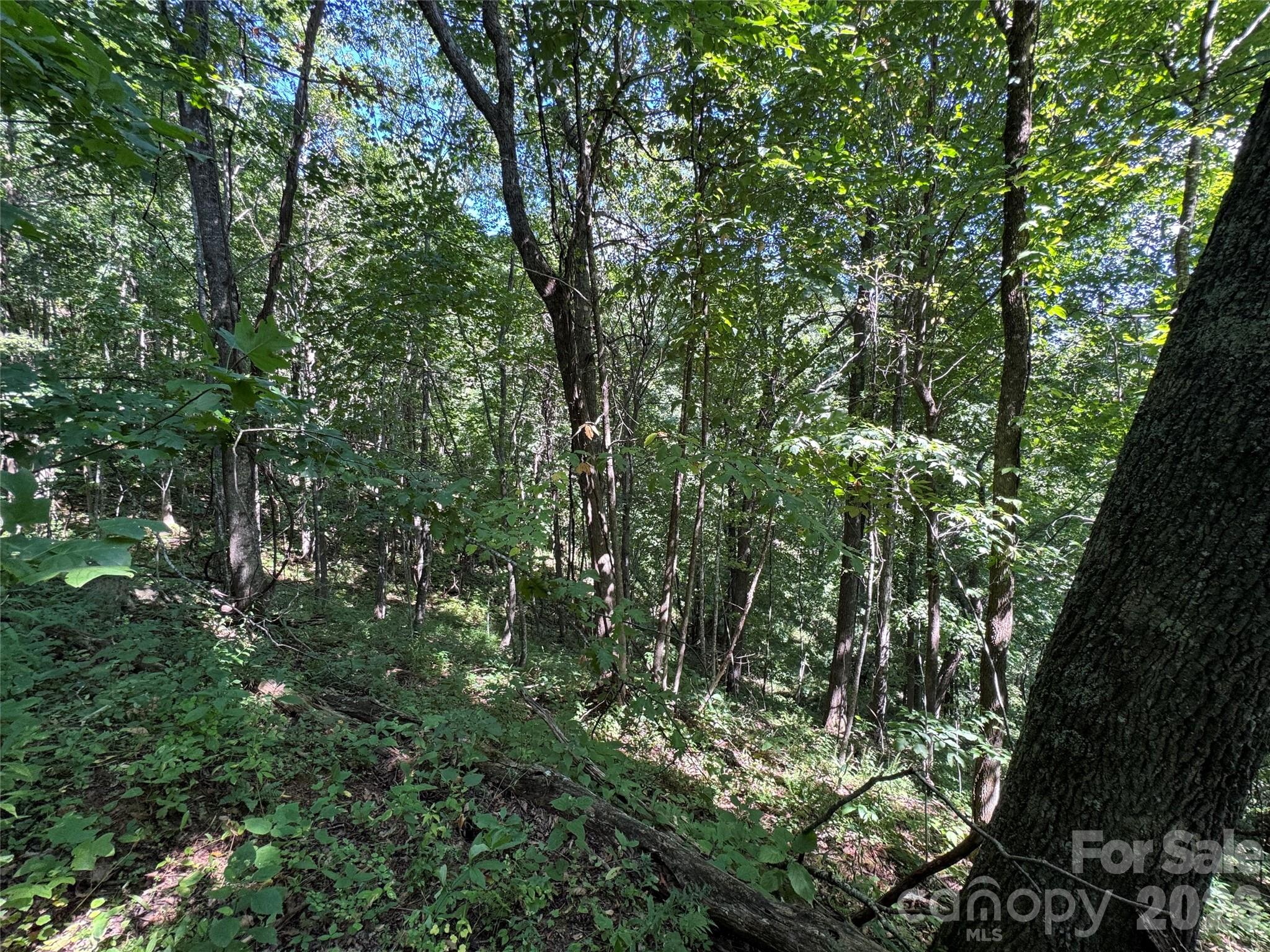 Tbd Black Bear Trail Property Photo 31