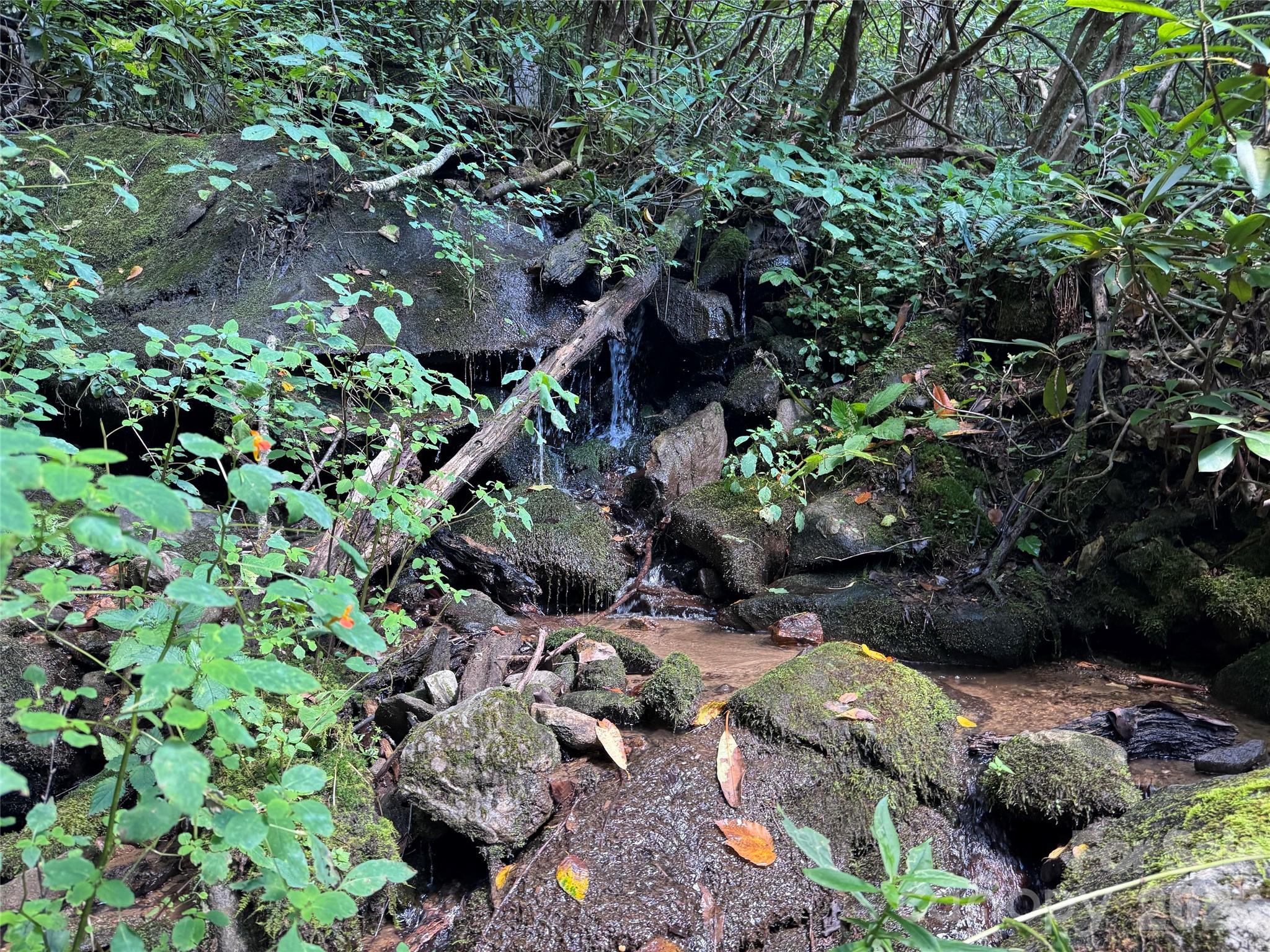 Tbd Black Bear Trail Property Photo 32