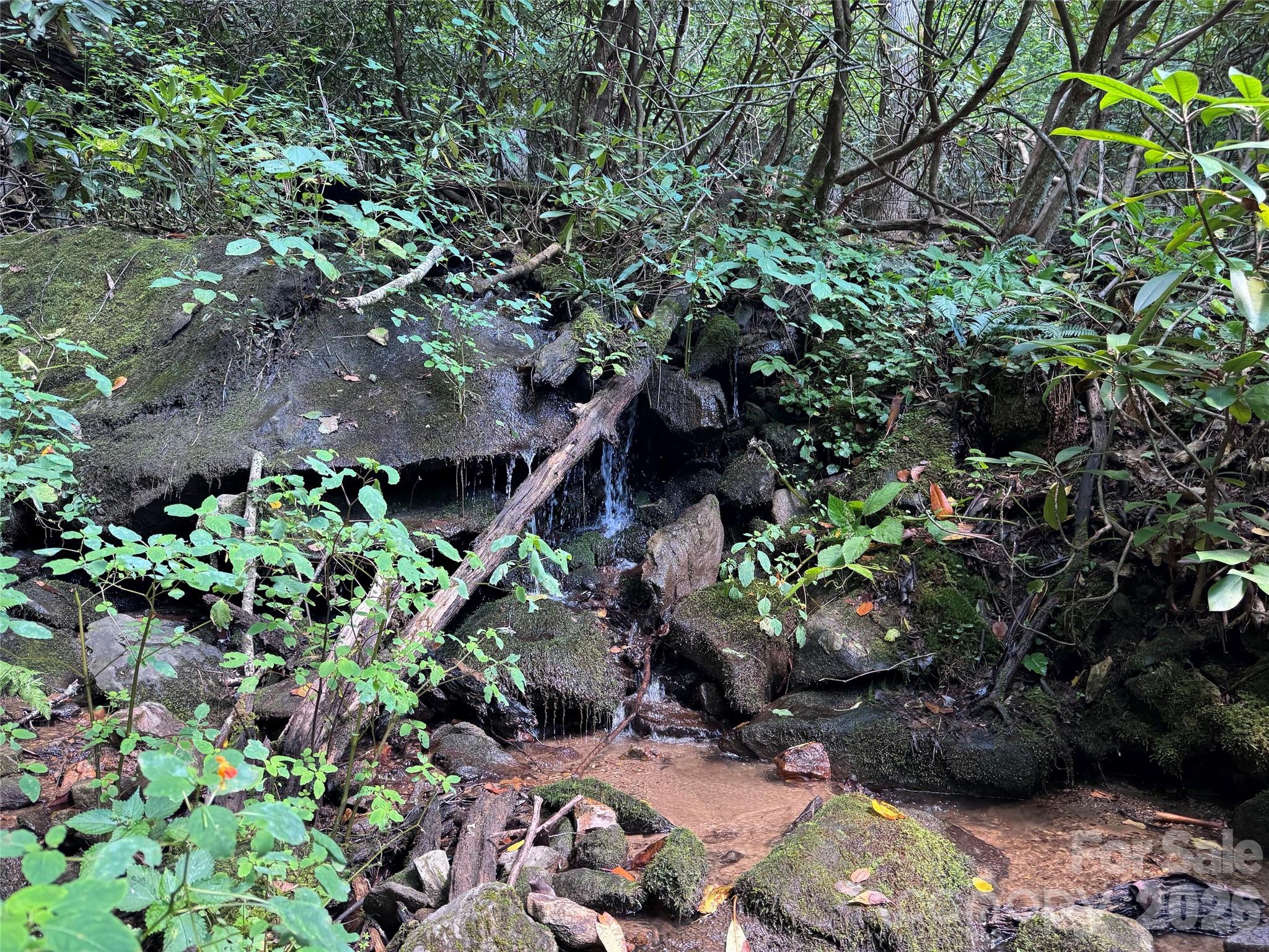Tbd Black Bear Trail Property Photo 33