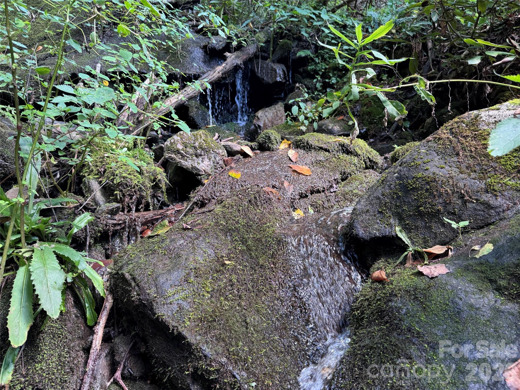 Tbd Black Bear Trail Property Photo 34