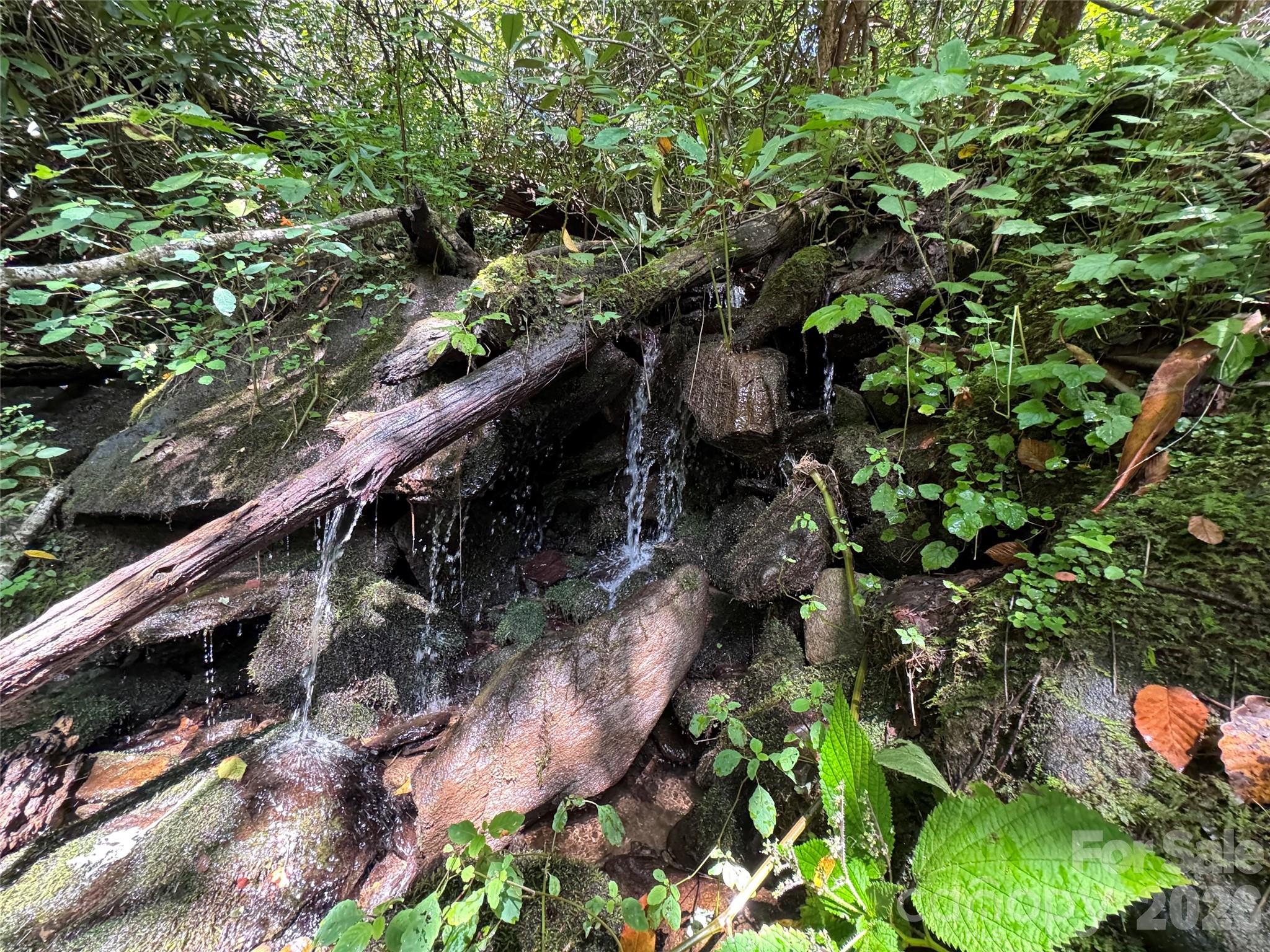 Tbd Black Bear Trail Property Photo 35