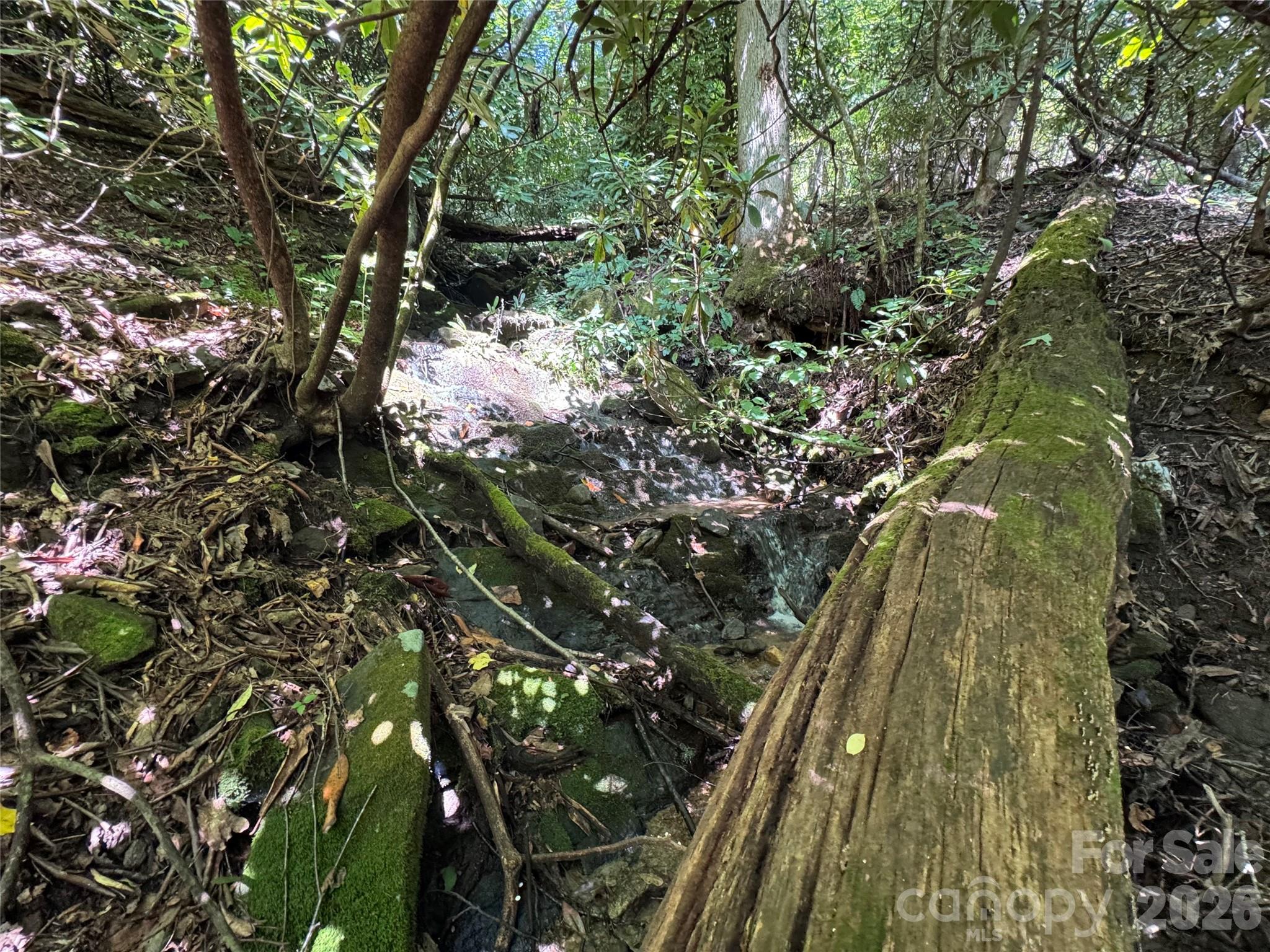 Tbd Black Bear Trail Property Photo 36