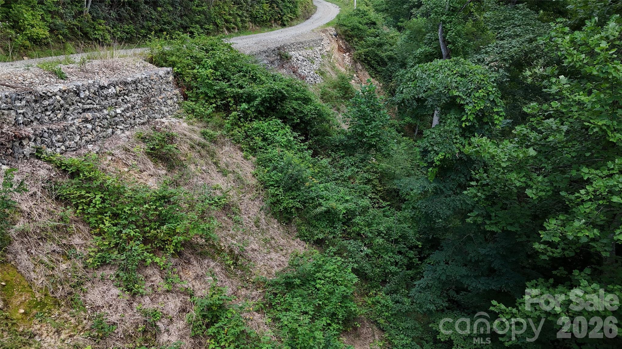Tbd Black Bear Trail Property Photo 38
