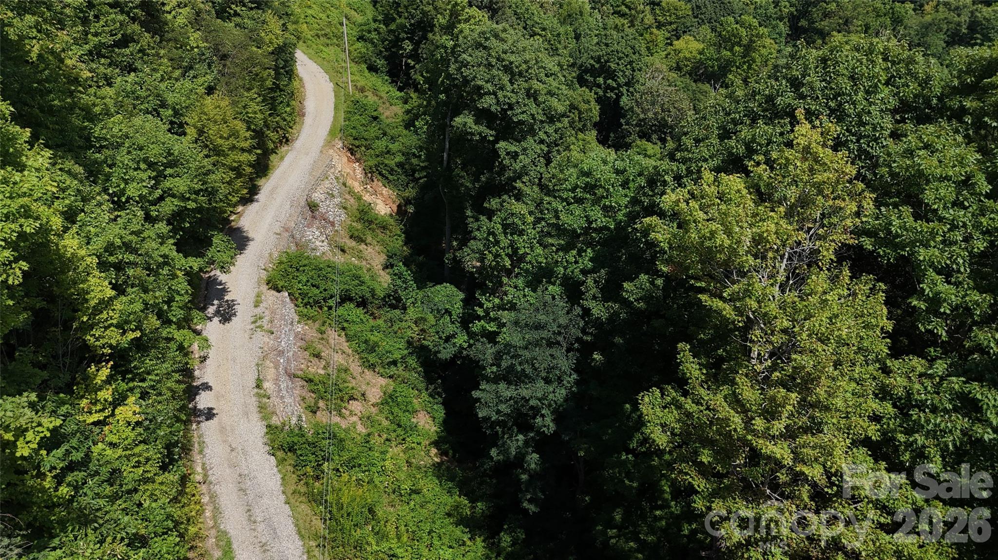 Tbd Black Bear Trail Property Photo 39