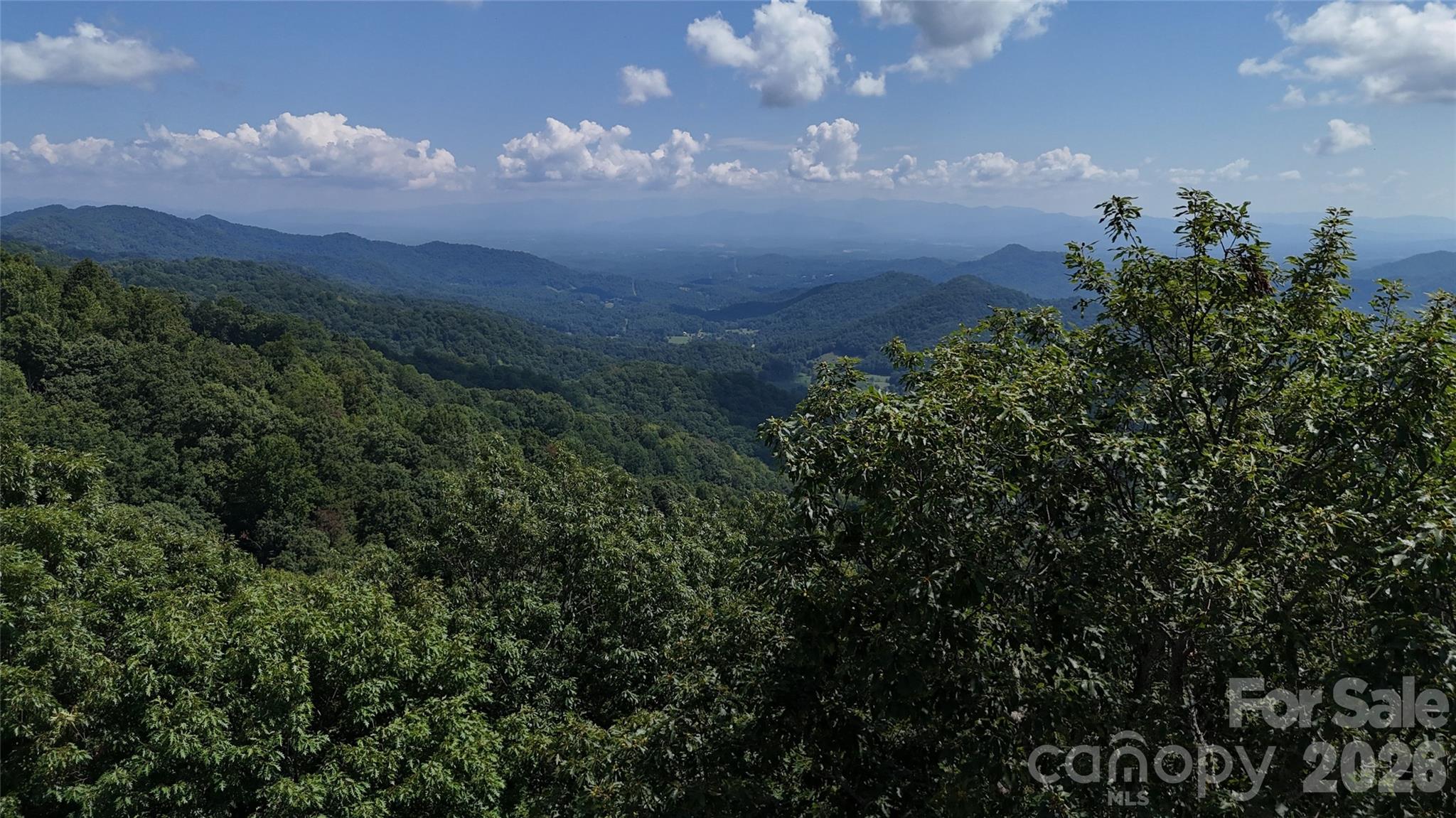 Tbd Black Bear Trail Property Photo 40