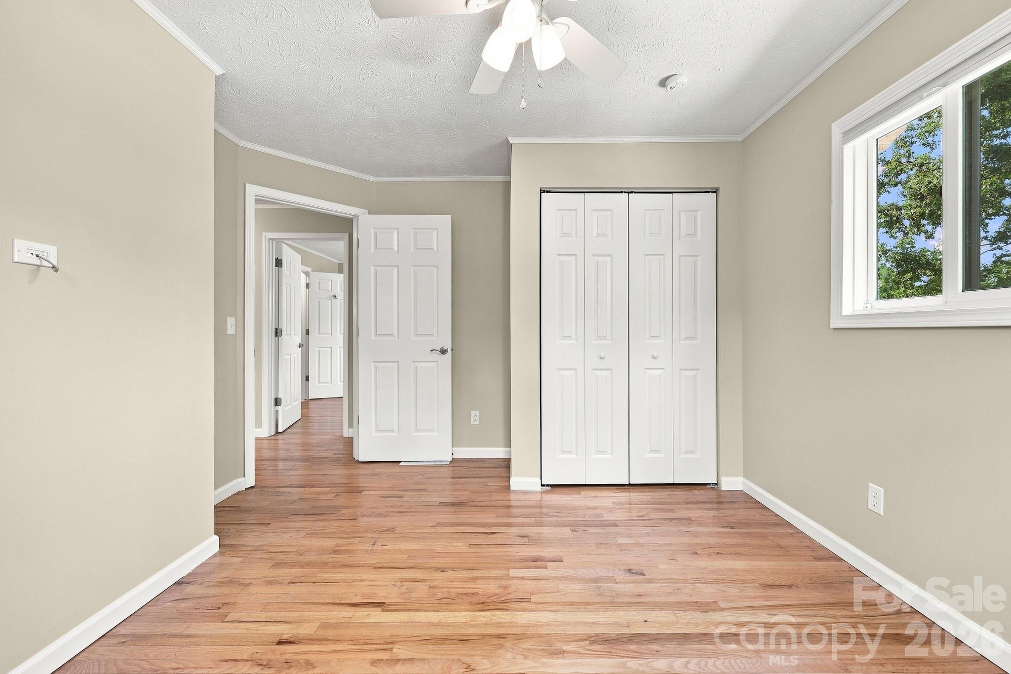 364 Pace Road Property Photo 14