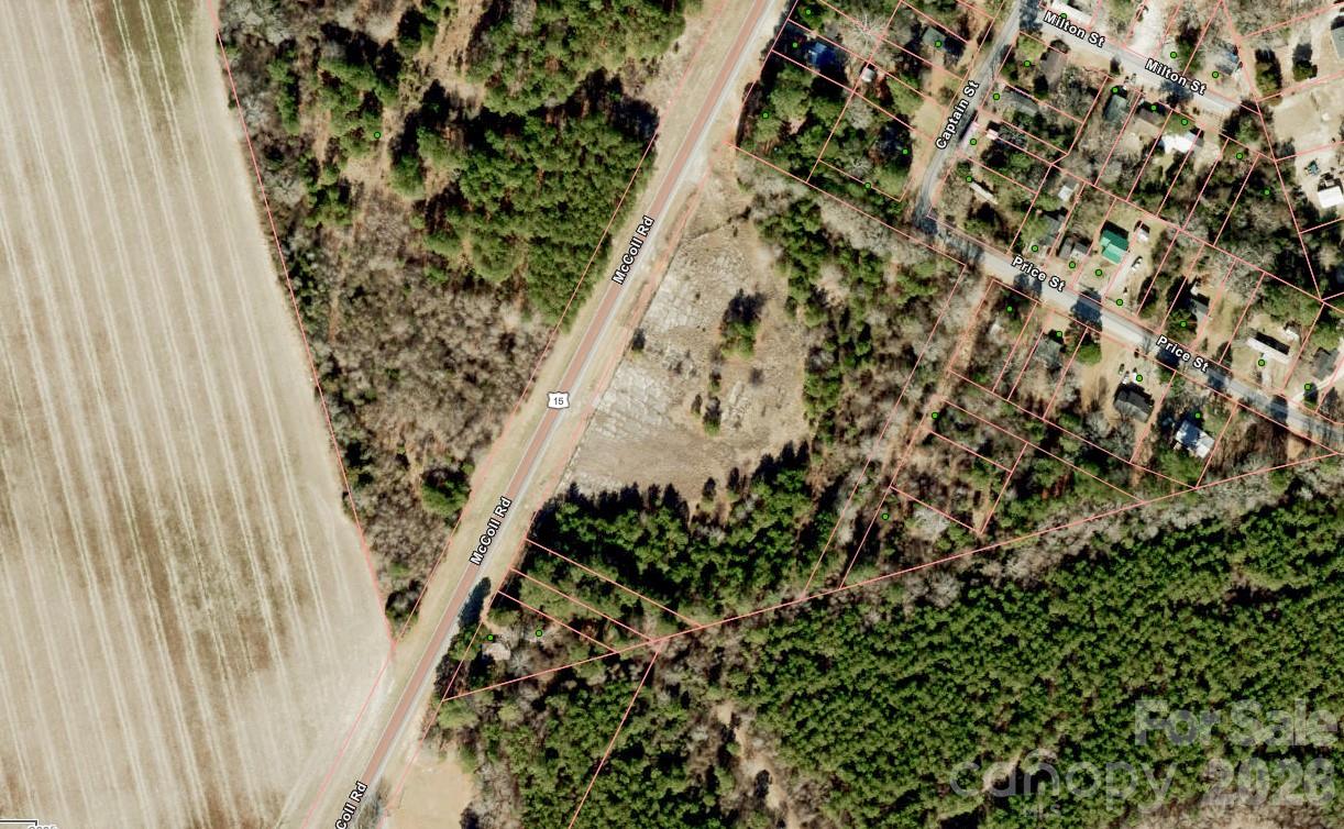 0000 Hwy 15/401 South Highway Property Photo 2