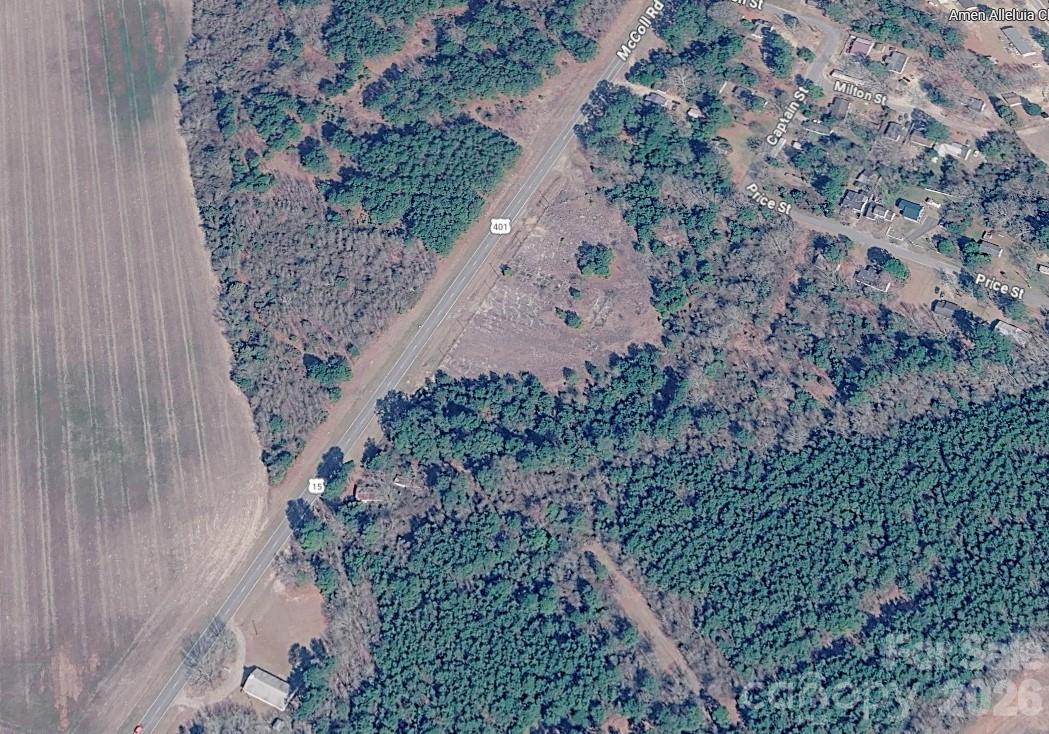 0000 Hwy 15/401 South Highway Property Photo 4