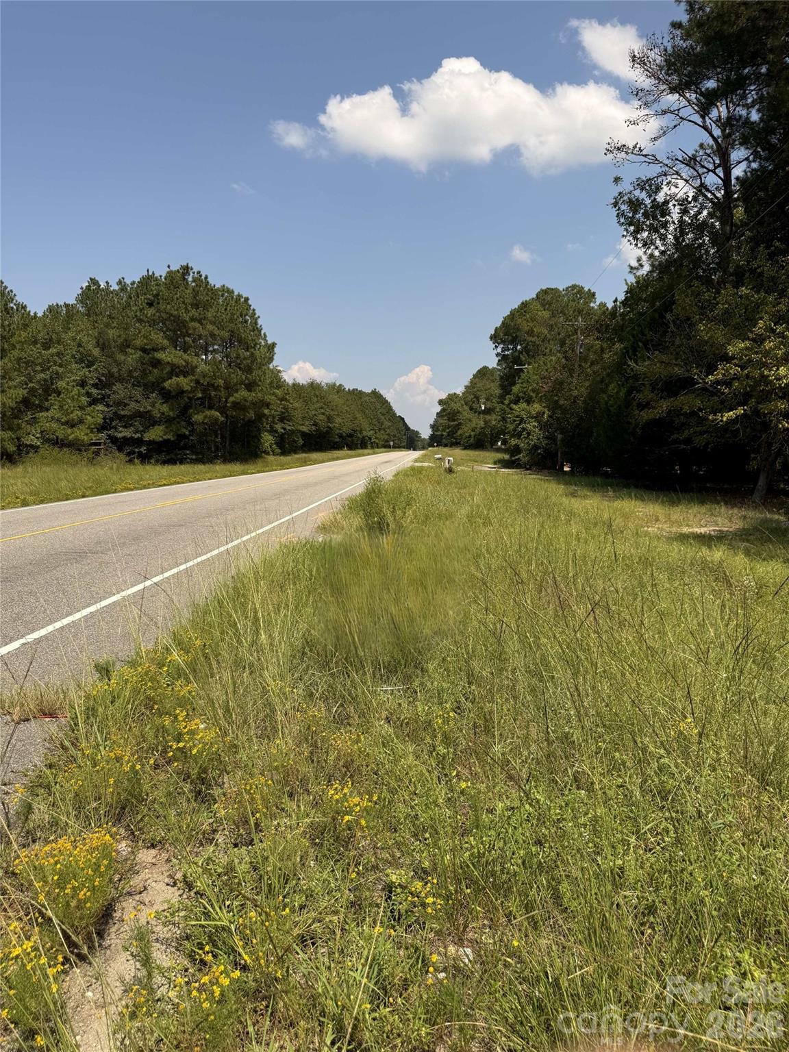 0000 Hwy 15/401 South Highway Property Photo 6