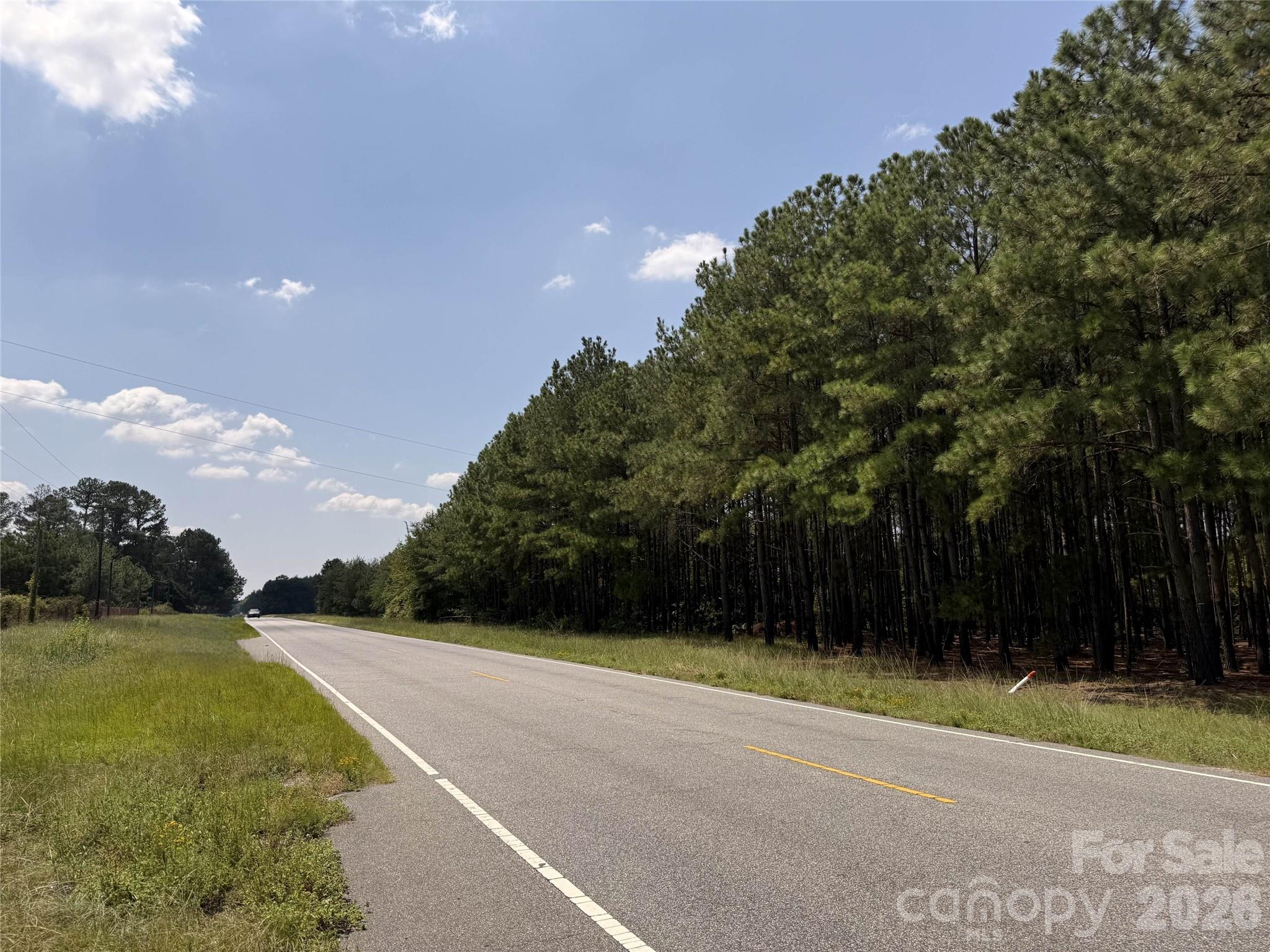 0000 Hwy 15/401 South Highway Property Photo 7