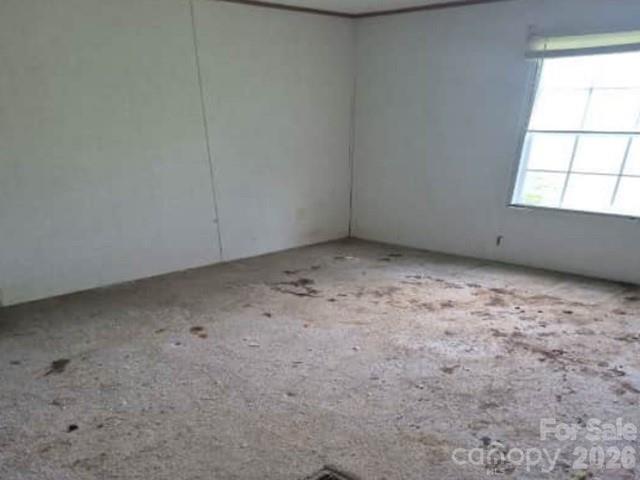 4831 Broken Pine Lane Property Photo 6