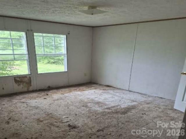 4831 Broken Pine Lane Property Photo 7