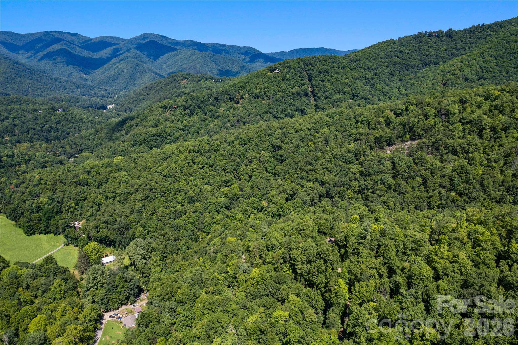 Off Little East Fork Road L-1 Property Photo 1