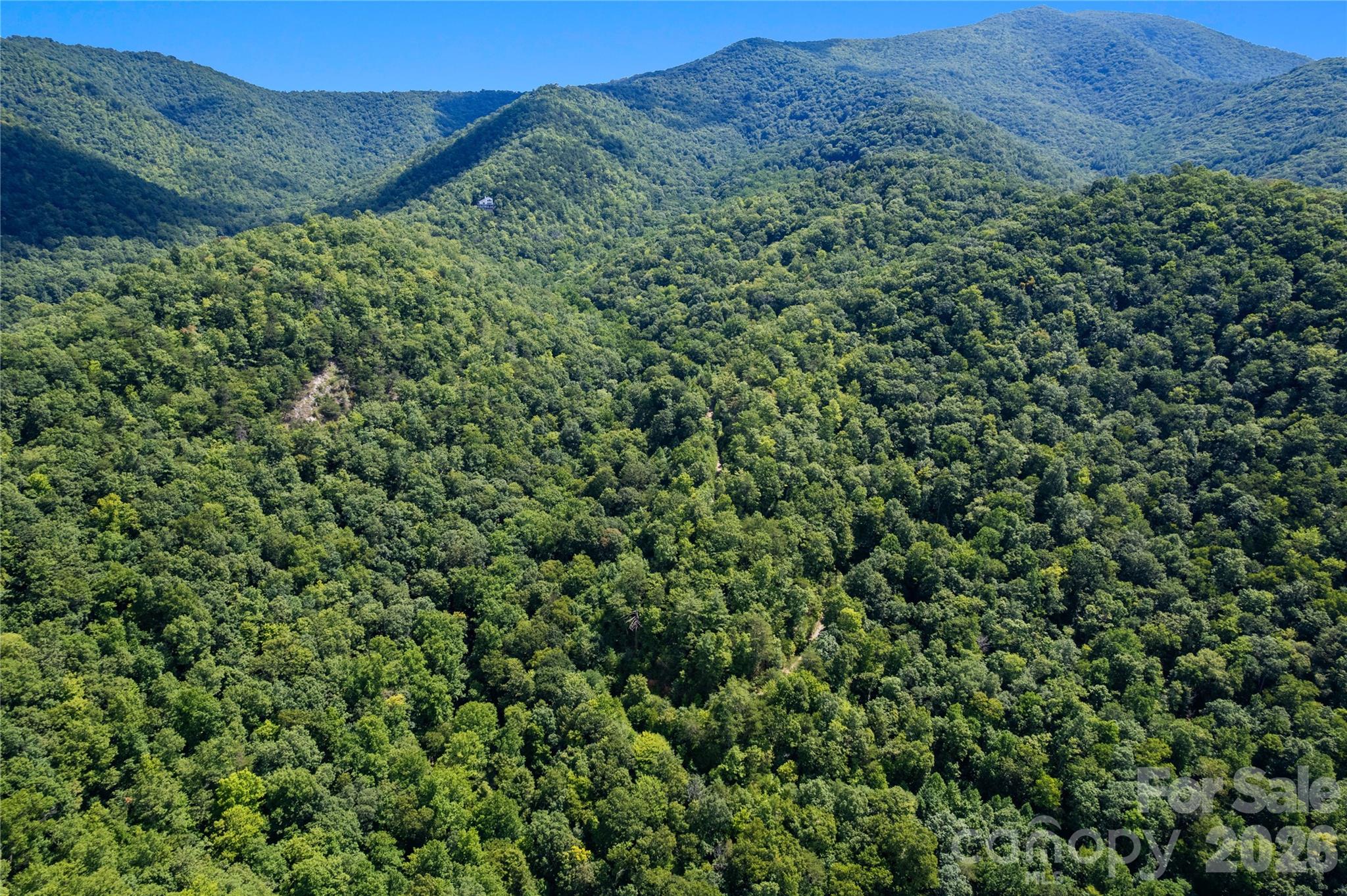 Off Little East Fork Road L-1 Property Photo 3