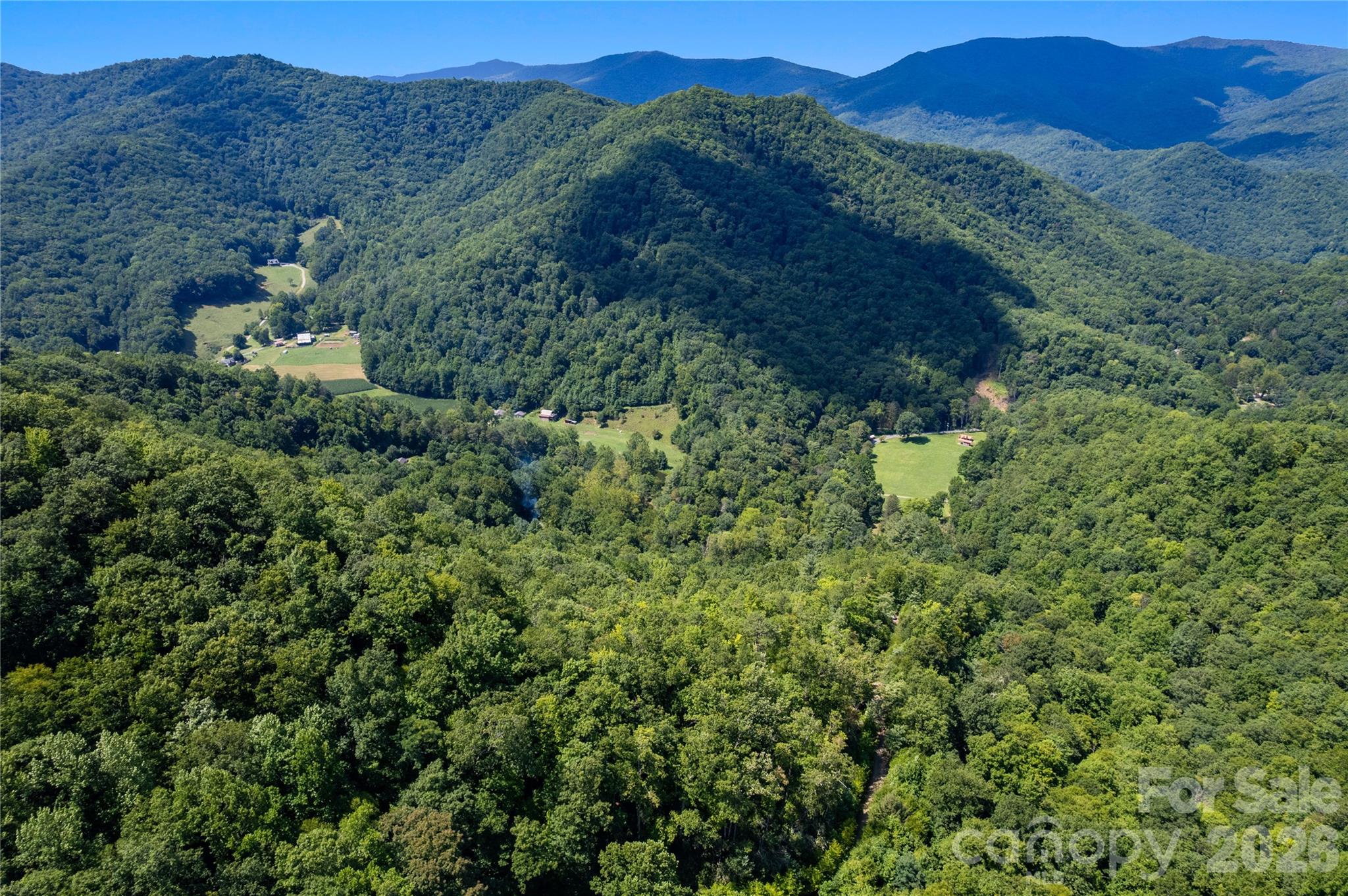 Off Little East Fork Road L-1 Property Photo 4